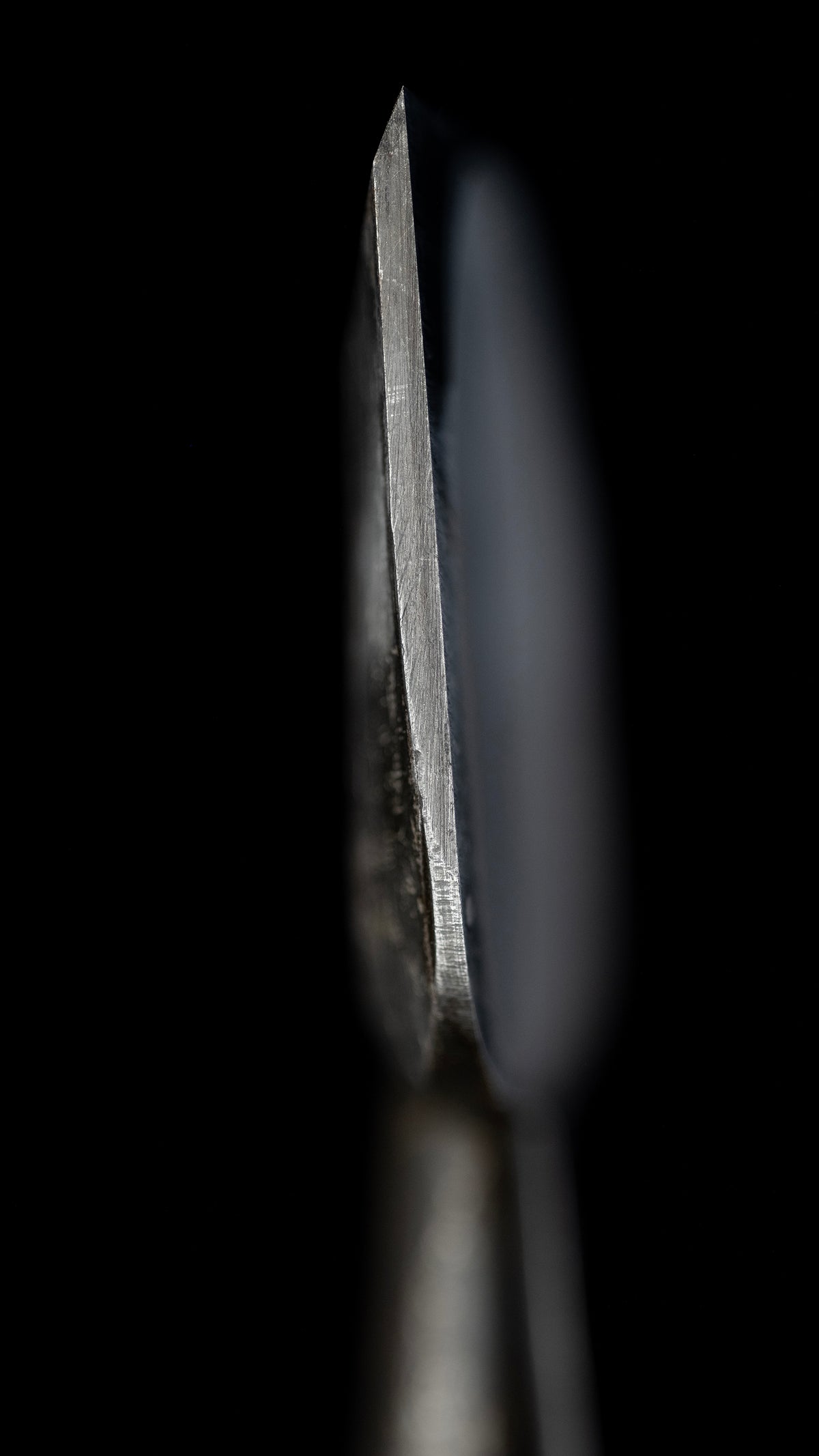 Oire-Nomi Japanese Hand Made Bench Chisel By Seiken - 60mm