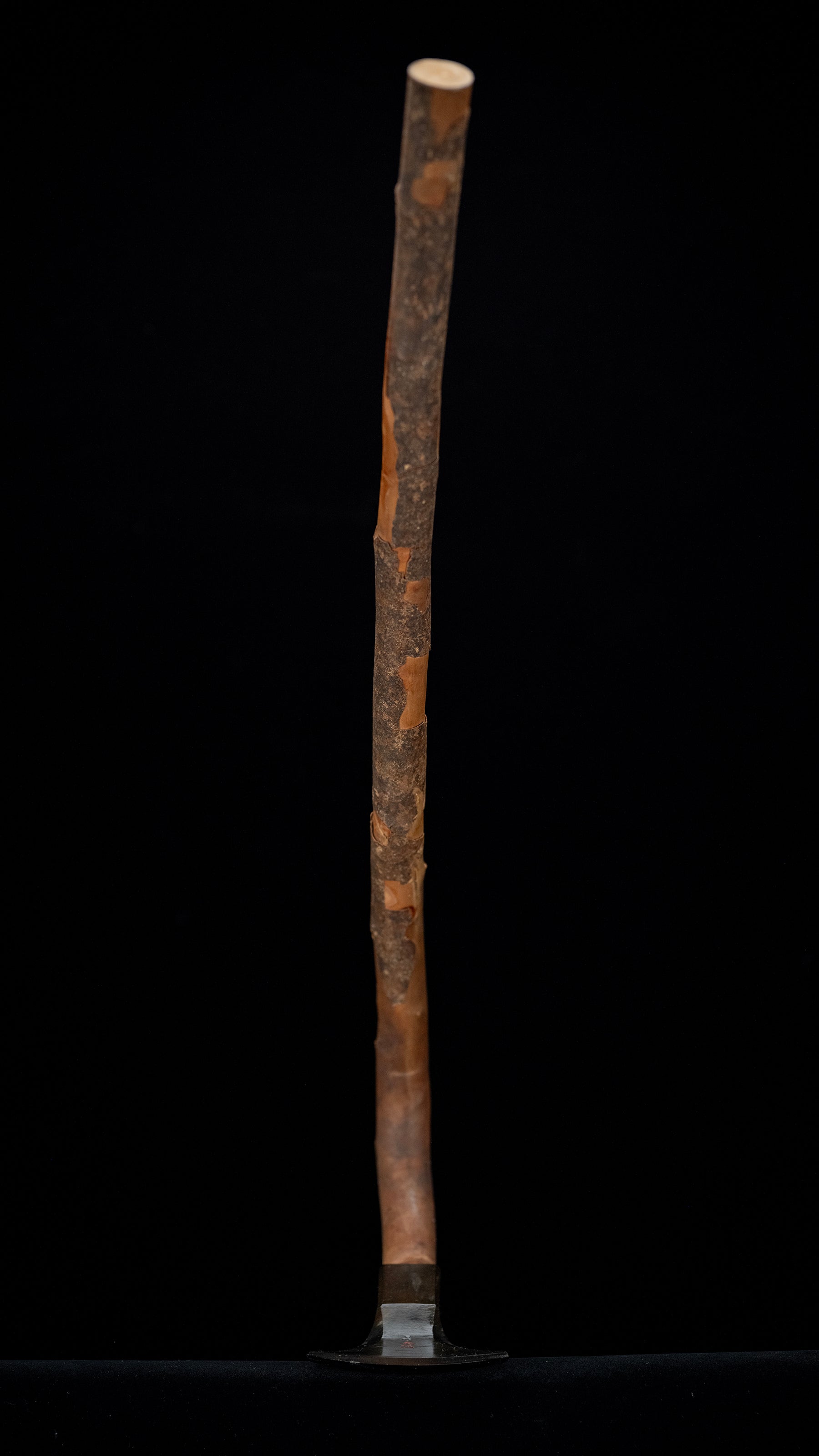 Naguri Chouna Japanese Carpenter Adze - 95mm