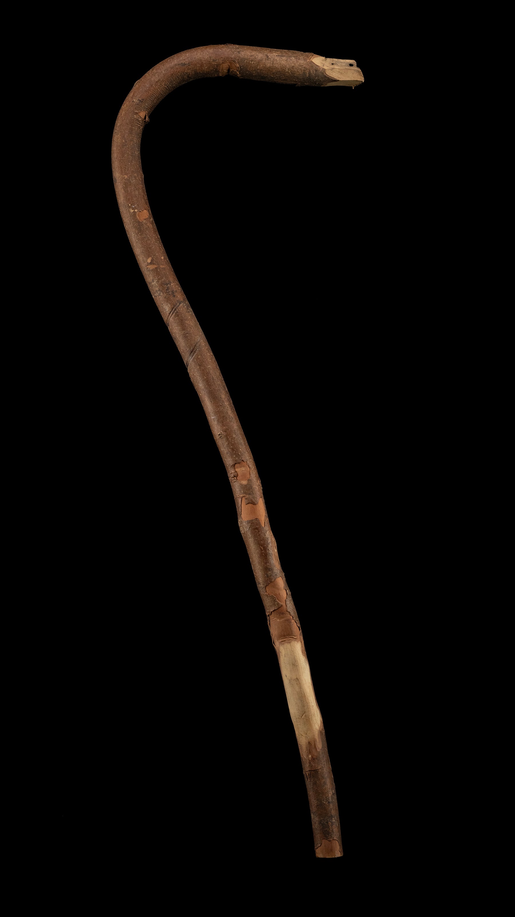 Japanese Chouna/Adze Handle ①