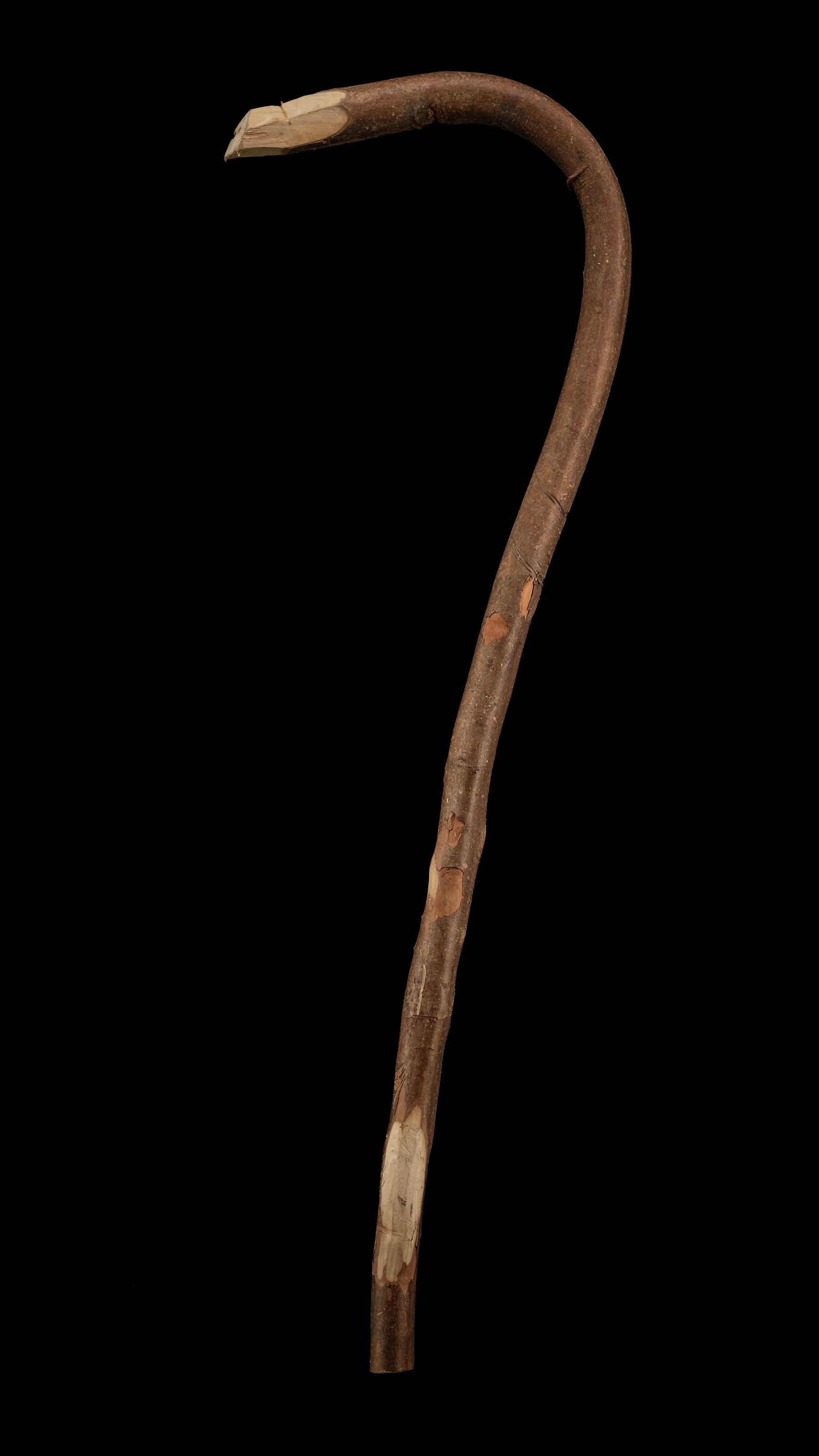 Japanese Chouna/Adze Handle ①