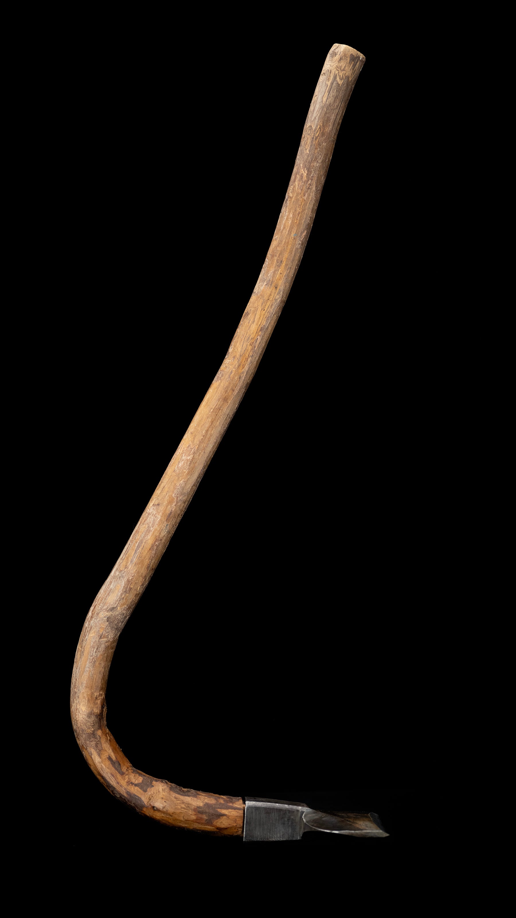 Honmoro-ha Chouna Japanese Carpenter Adze - 103mm