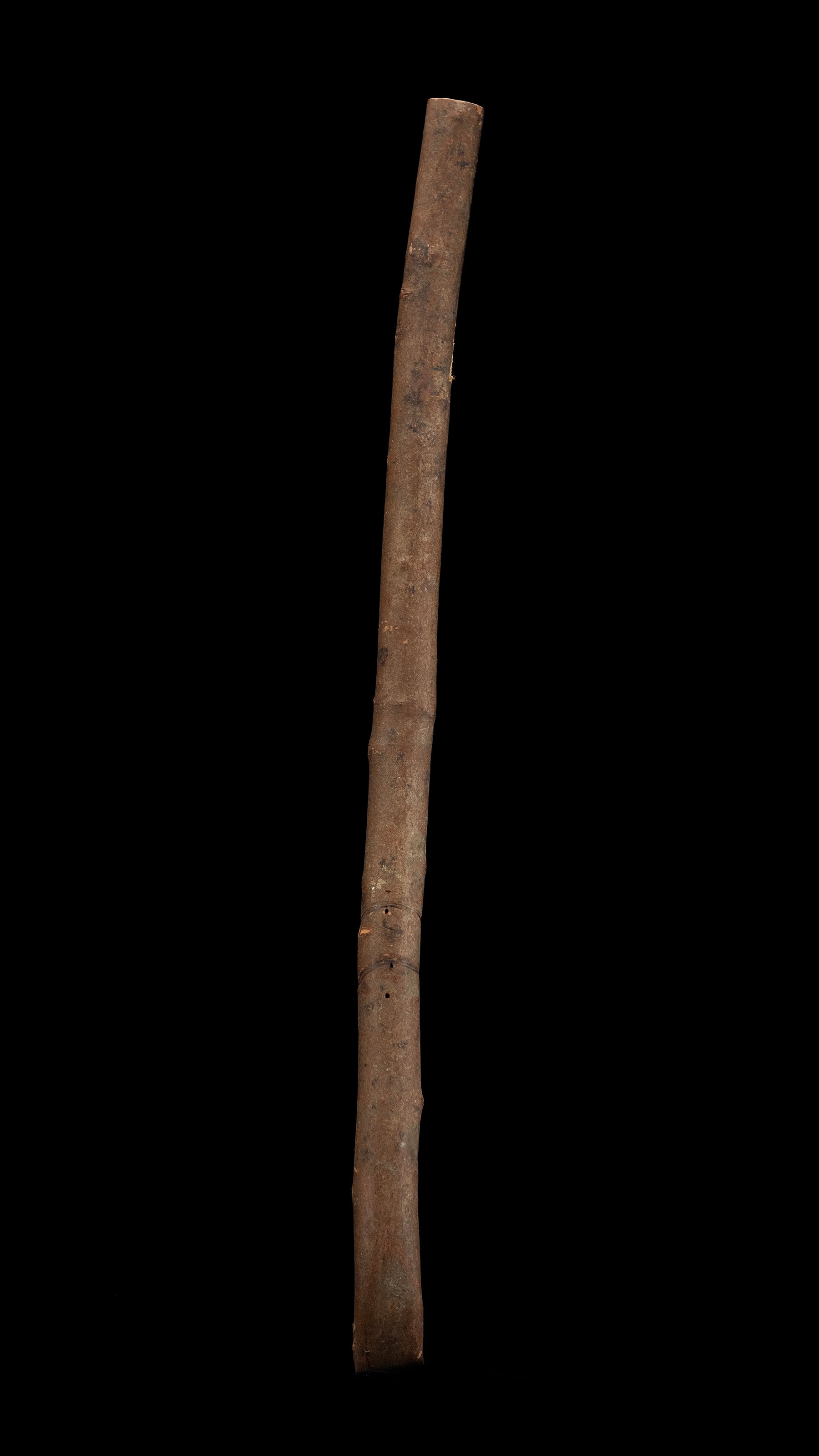 Japanese Chouna/Adze Handle ②