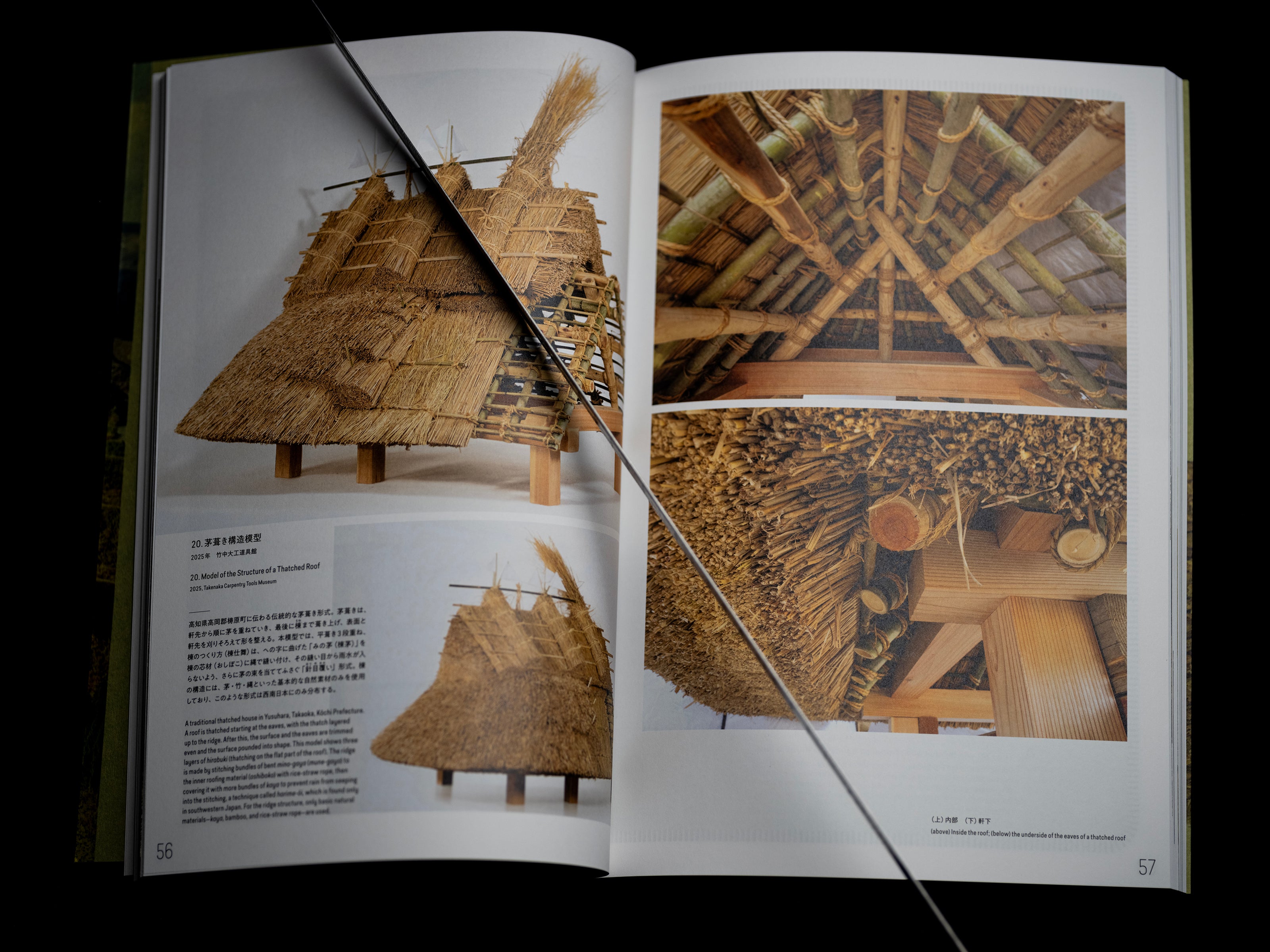 Plants and Crafts in the Cycles of Life