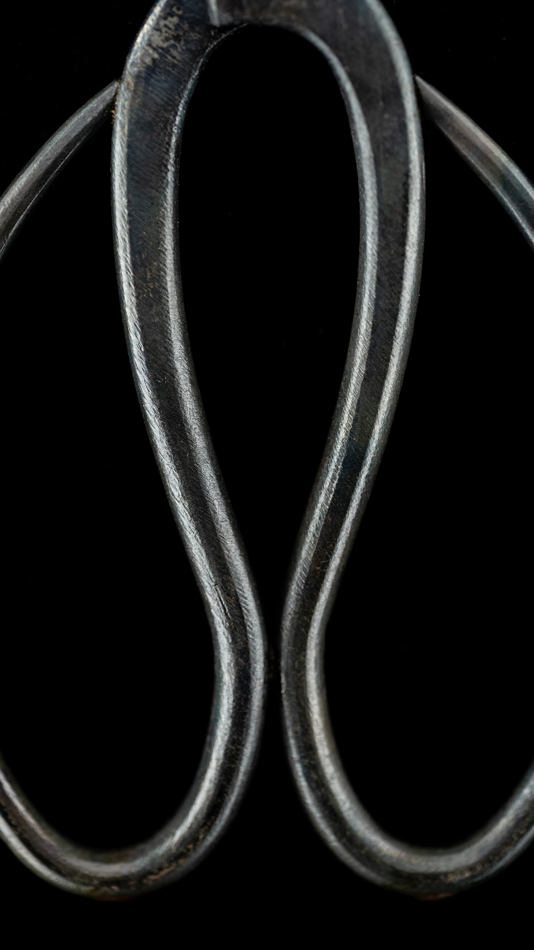 Bonsai-basami Japanese Hand Made Bonsai Scissors By Sakai Noboru - 185mm