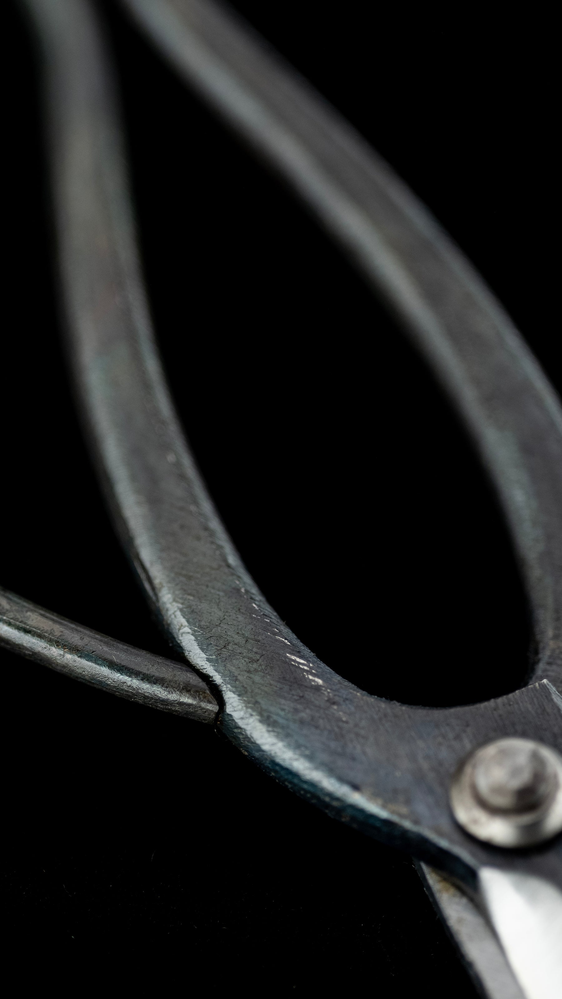 Bonsai-basami Japanese Hand Made Bonsai Scissors By Sakai Noboru - 185mm