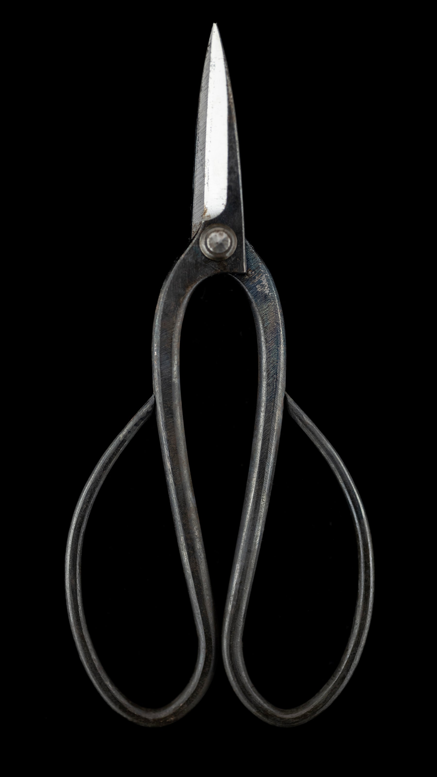 Ueki-basami Japanese Hand Made Bonsai Scissors By Sakai Noboru - Left Hand ②