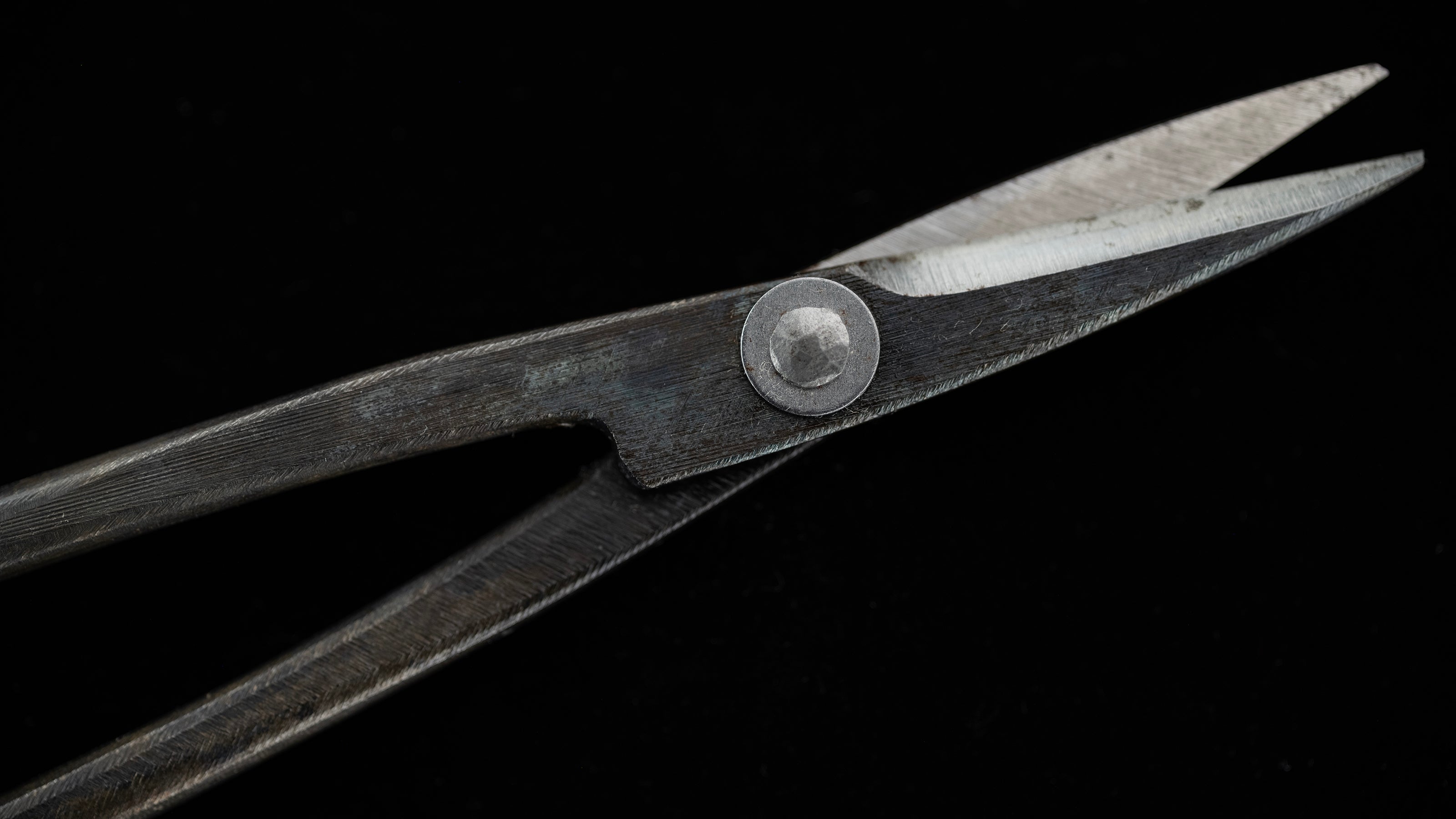 Koedakiri-basami Japanese Hand Made Bonsai Scissors By Sakai Noboru - Left Hand