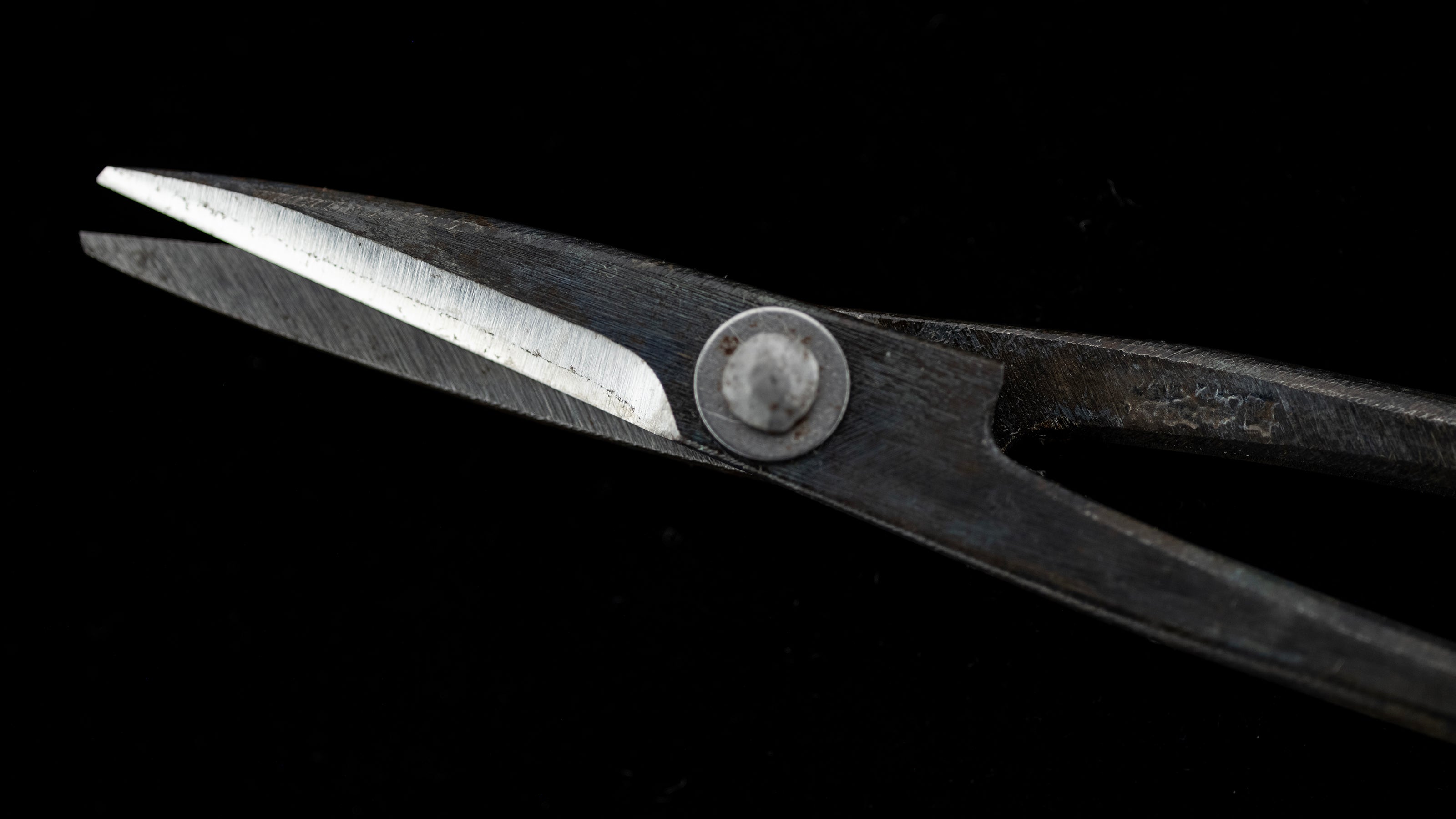Koedakiri-basami Japanese Hand Made Bonsai Scissors By Sakai Noboru - Left Hand