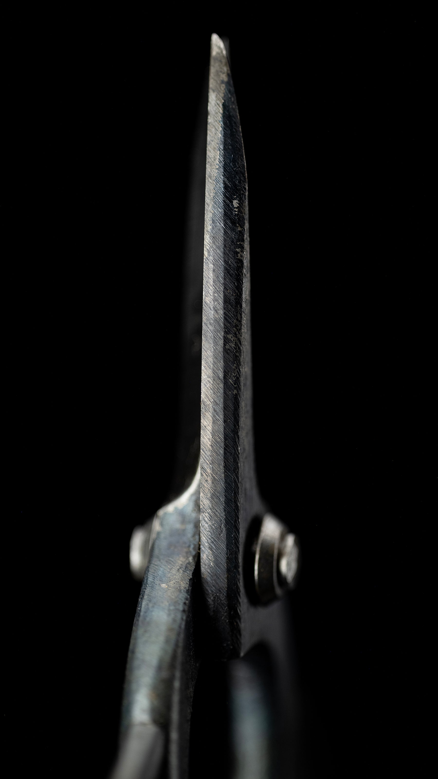 Bonsai-basami Japanese Hand Made Bonsai Scissors By Sakai Noboru - 185mm
