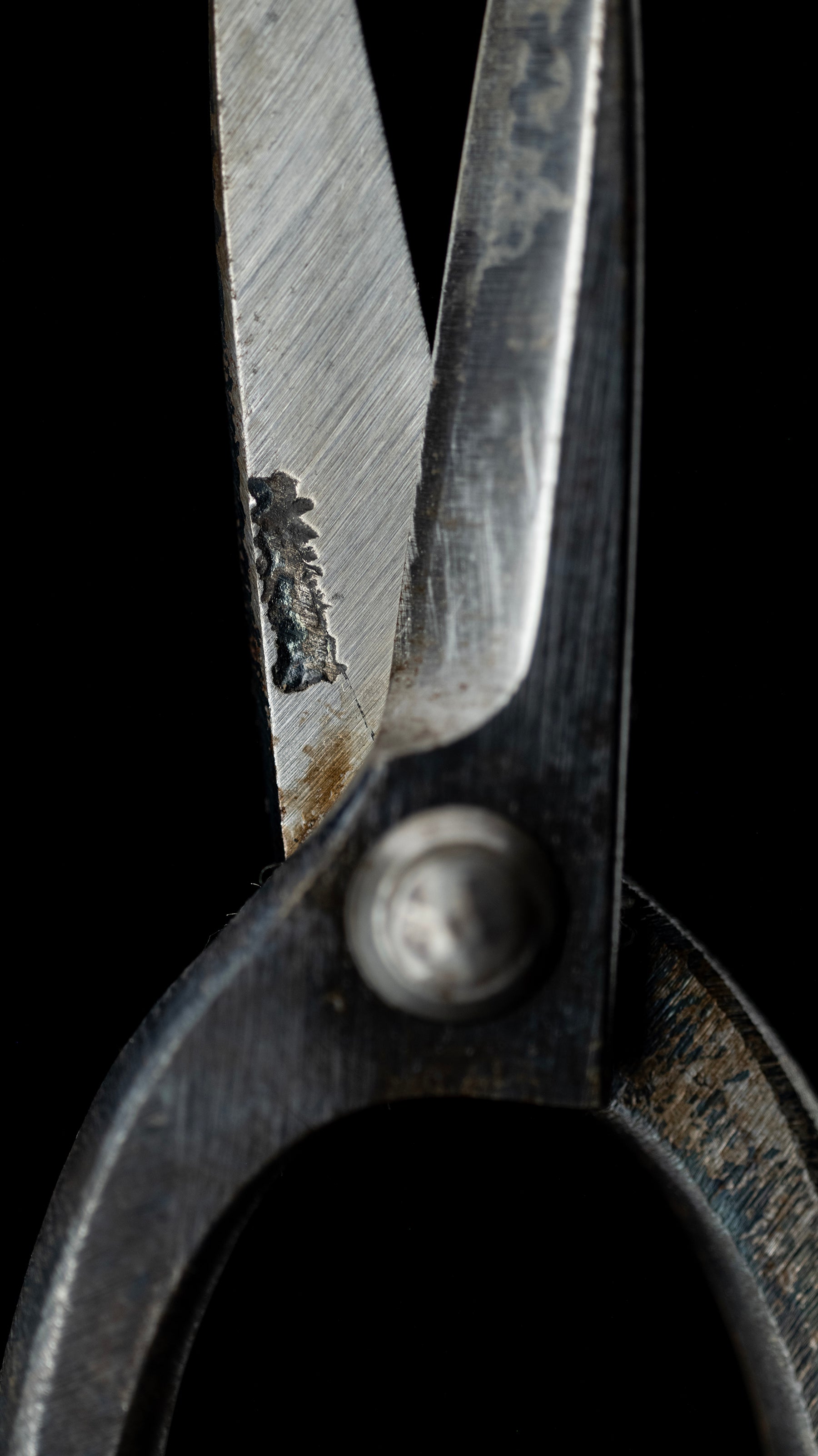 Ueki-basami Japanese Hand Made Bonsai Scissors By Sakai Noboru - Left Hand ②