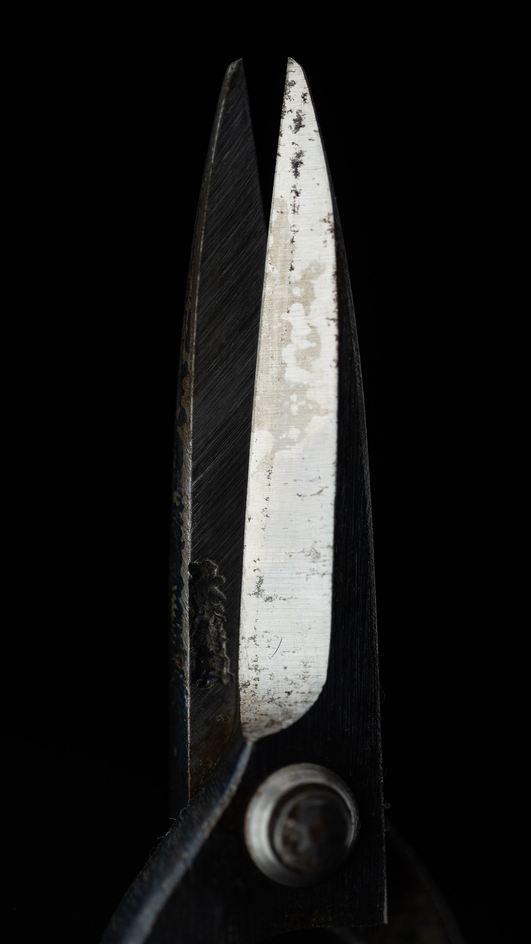 Ueki-basami Japanese Hand Made Bonsai Scissors By Sakai Noboru - Left Hand ②