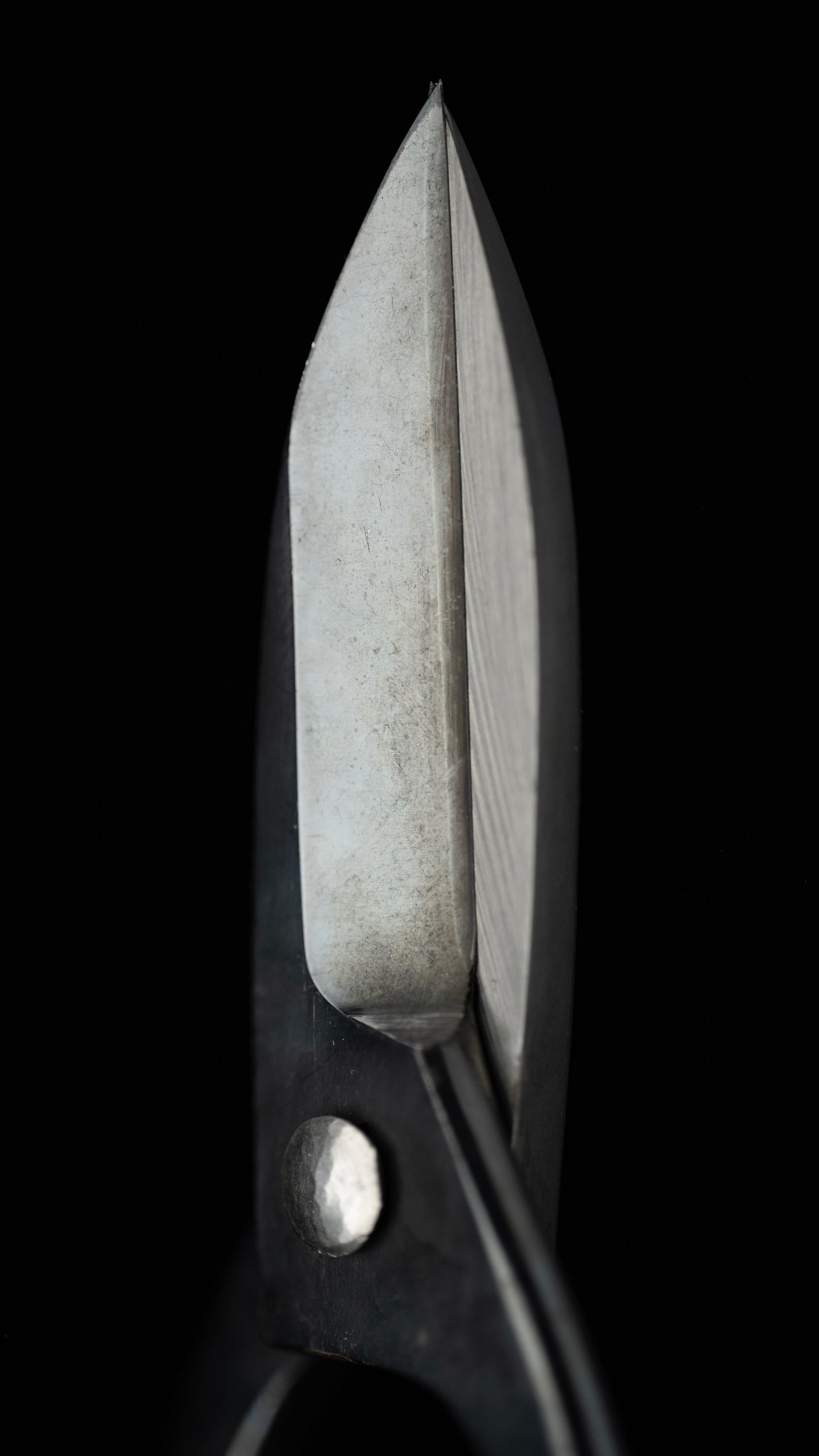 Bonsai-basami Japanese Specially Made Trimming Shears By Masakuni Ⅱ - #101