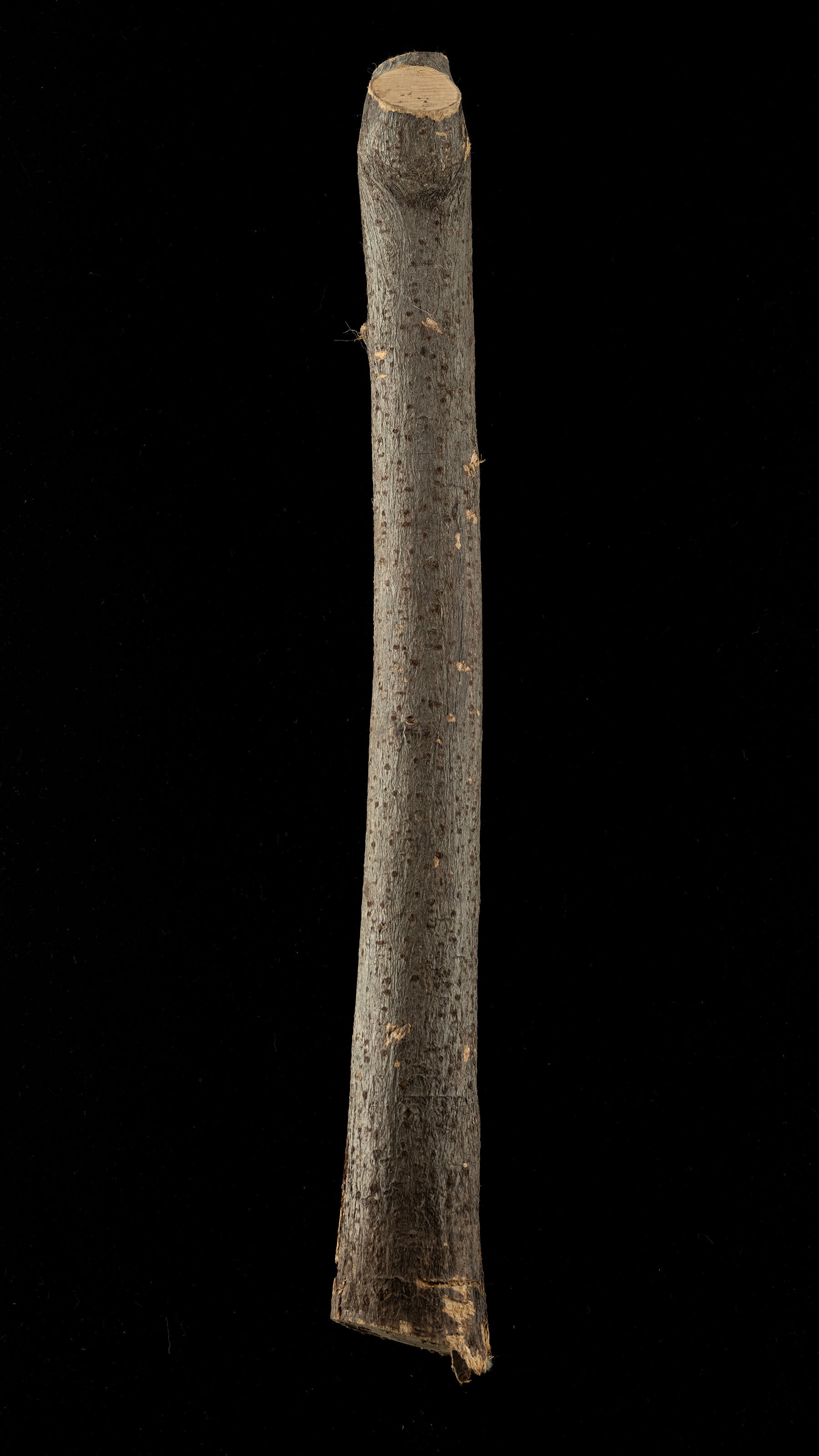 Tool handle raw materials - Japanese Gumi