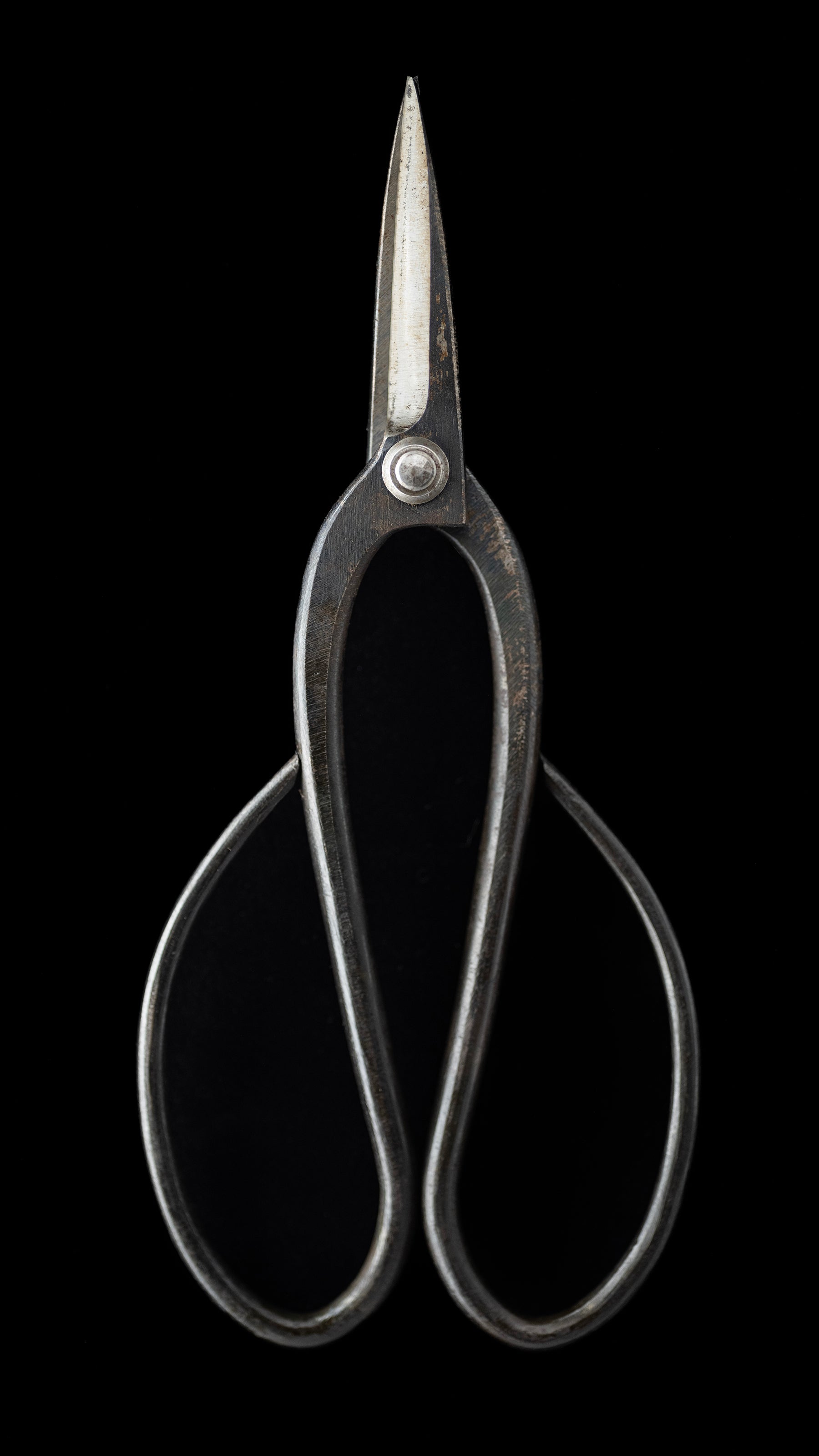 Ueki-basami Japanese Hand Made Bonsai Scissors By Sakai Noboru - Left Hand