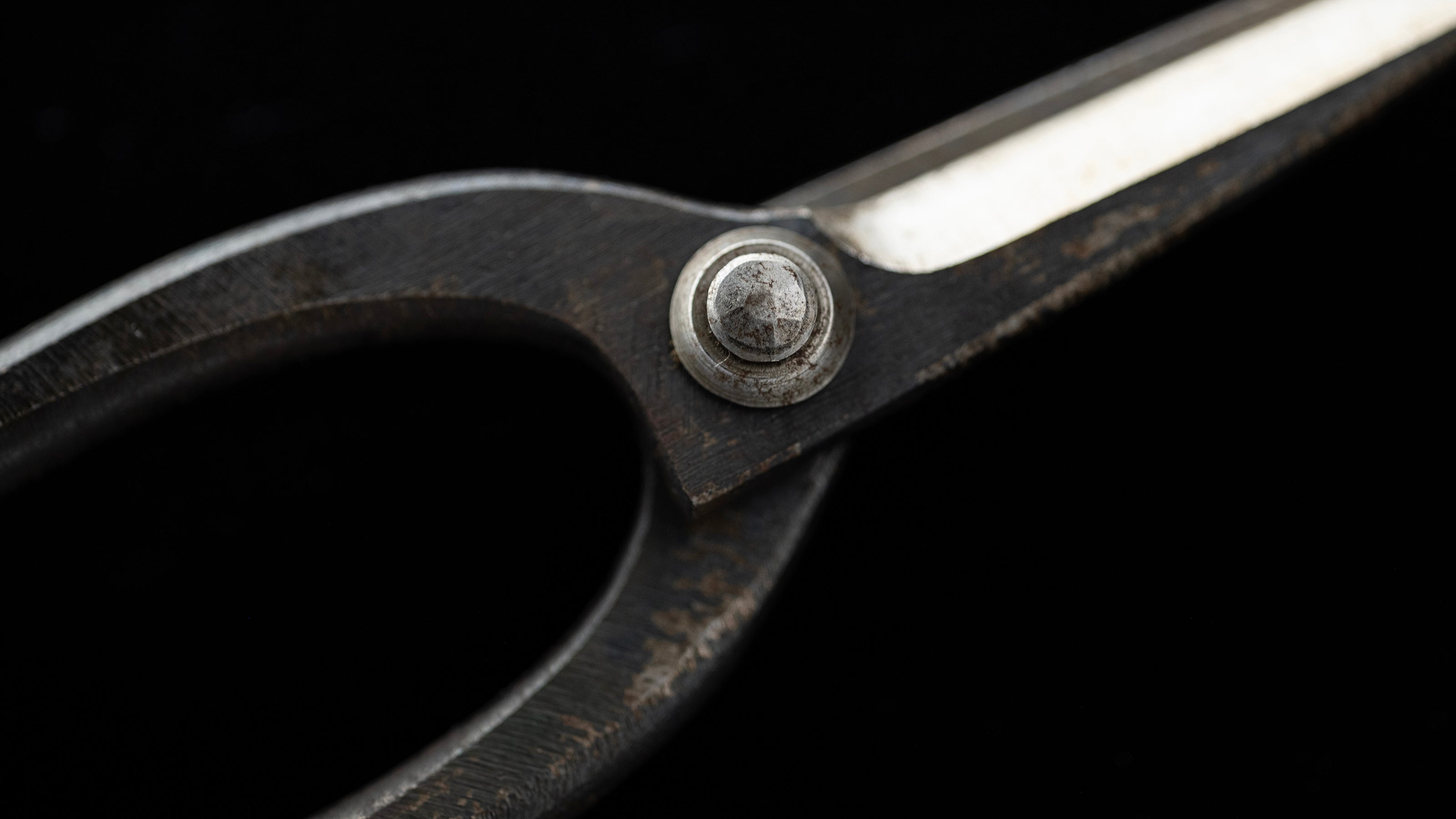 Ueki-basami Japanese Hand Made Bonsai Scissors By Sakai Noboru - Left Hand