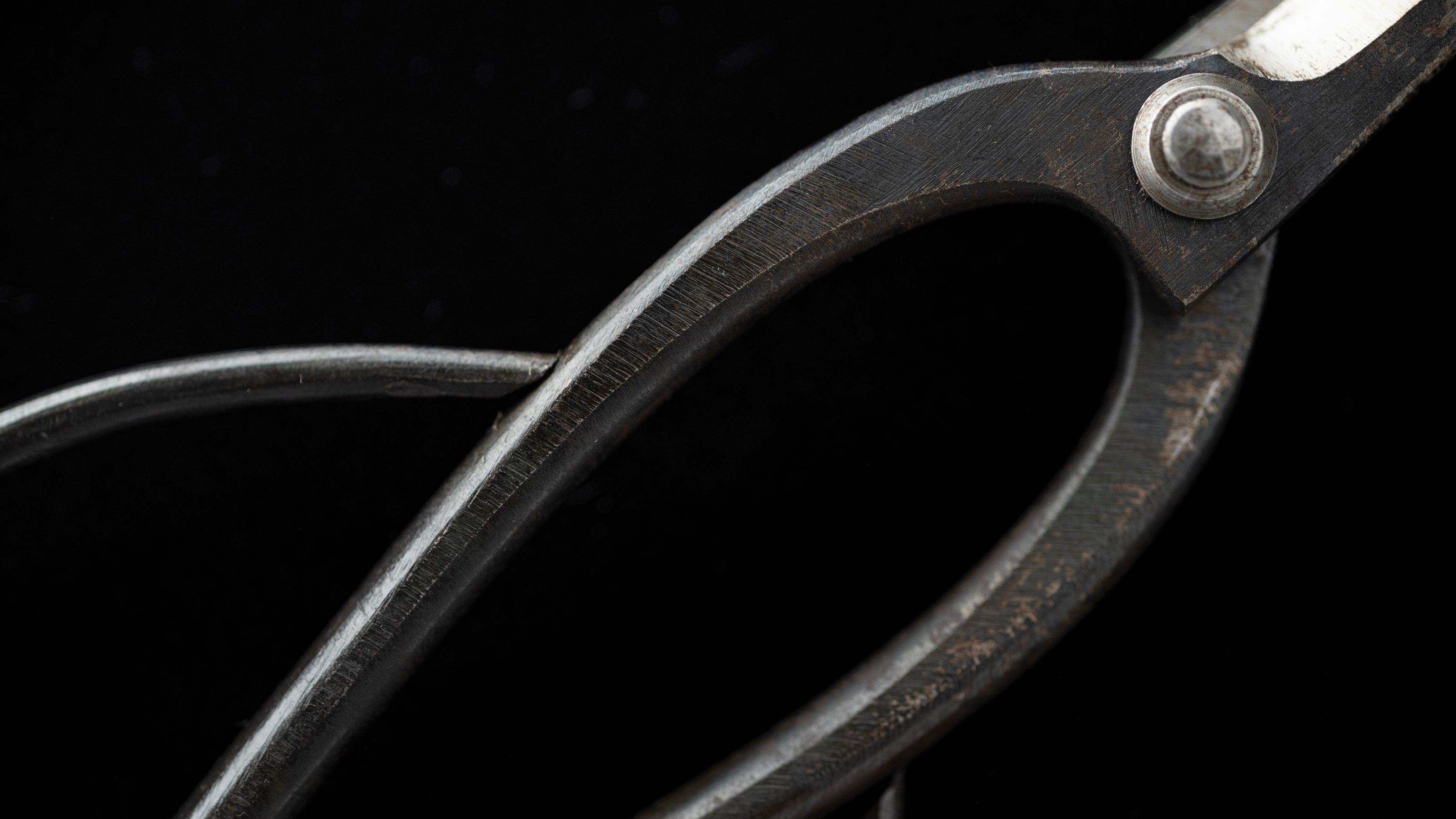 Ueki-basami Japanese Hand Made Bonsai Scissors By Sakai Noboru - Left Hand