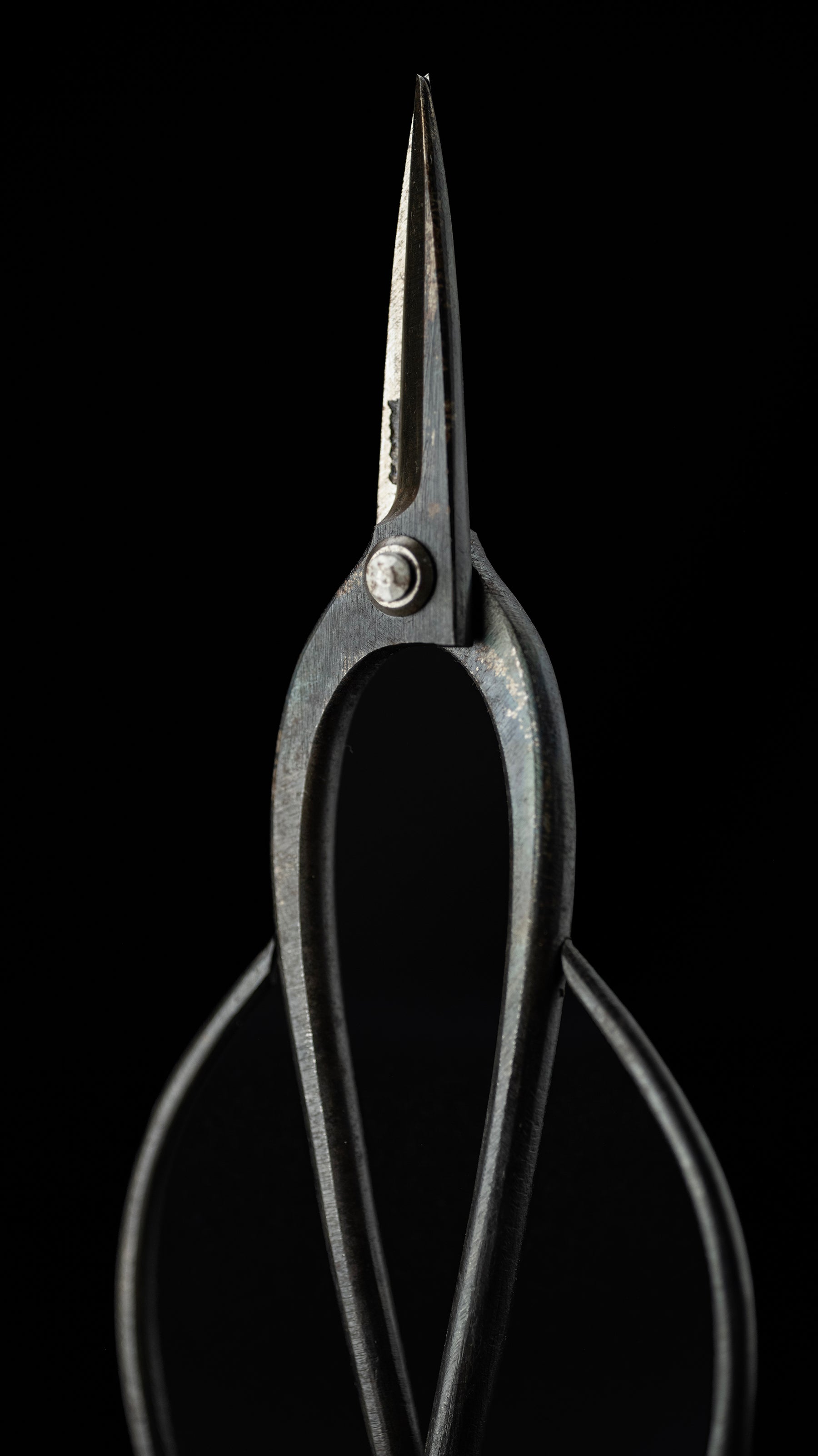 Ueki-basami Japanese Hand Made Bonsai Scissors By Sakai Noboru - Left Hand