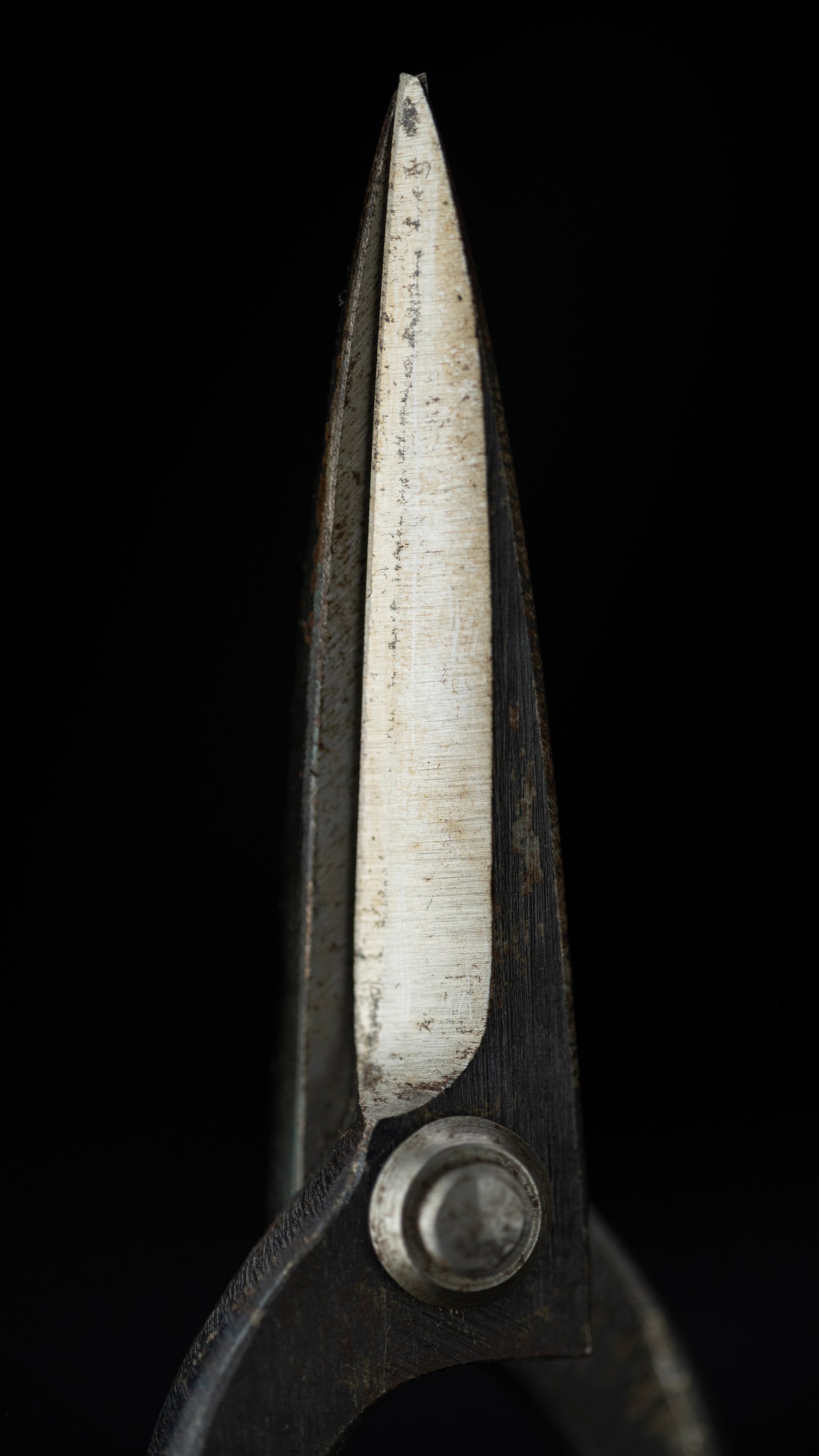 Ueki-basami Japanese Hand Made Bonsai Scissors By Sakai Noboru - Left Hand