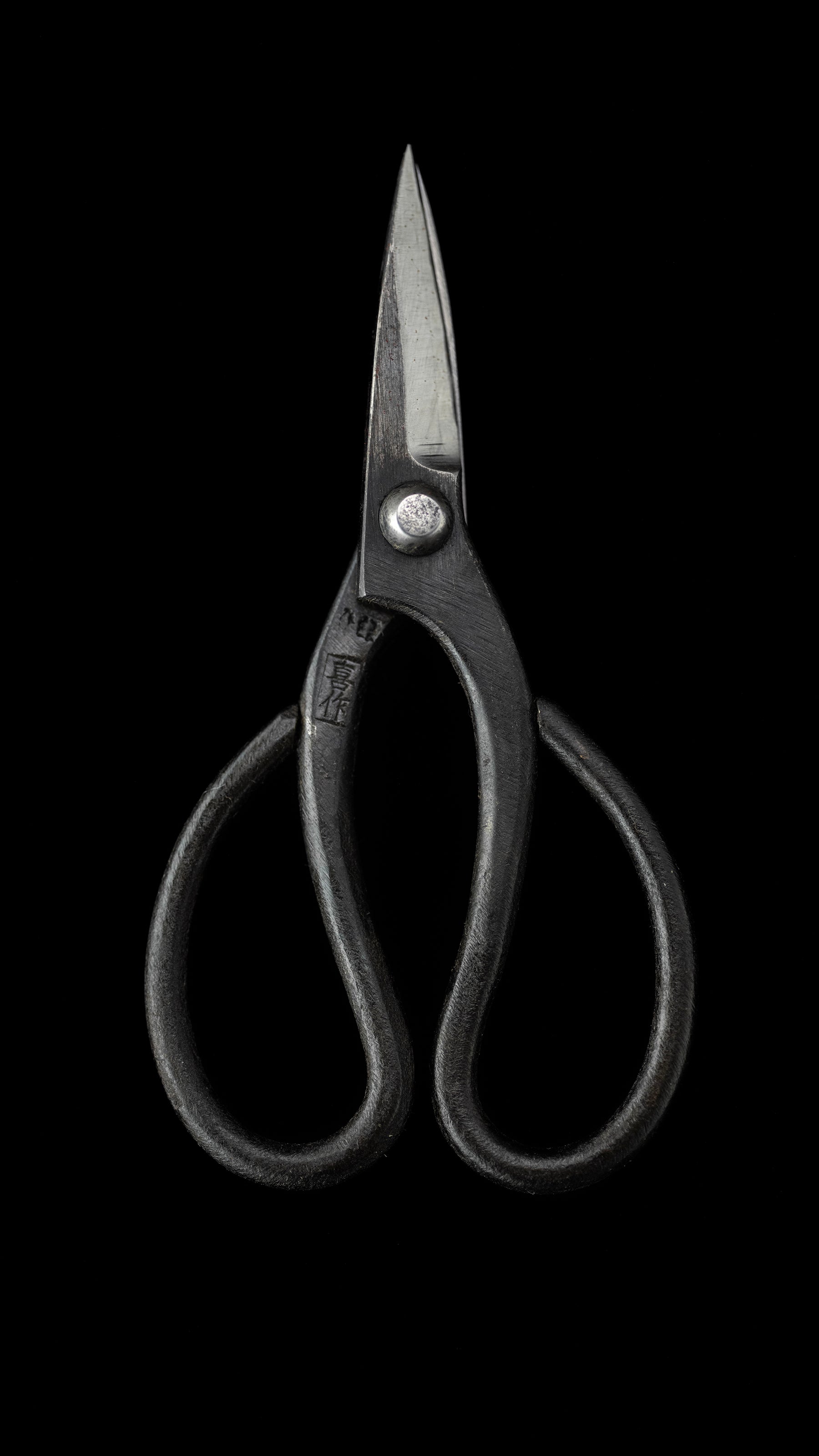 Bonsai basami Japanese Hand Made Bonsai Scissors By Kisaku - Small