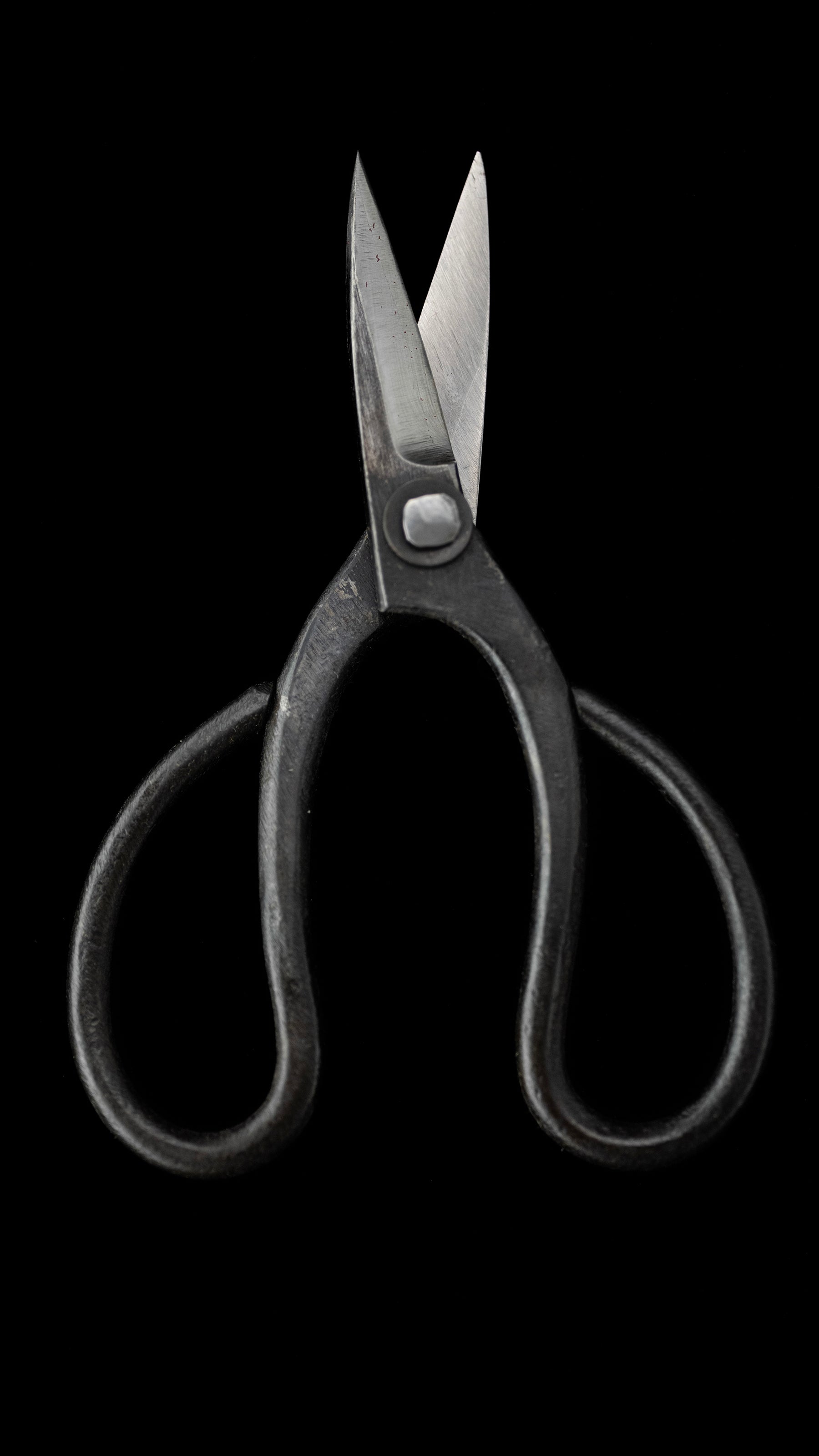 Bonsai basami Japanese Hand Made Bonsai Scissors By Kisaku - Small