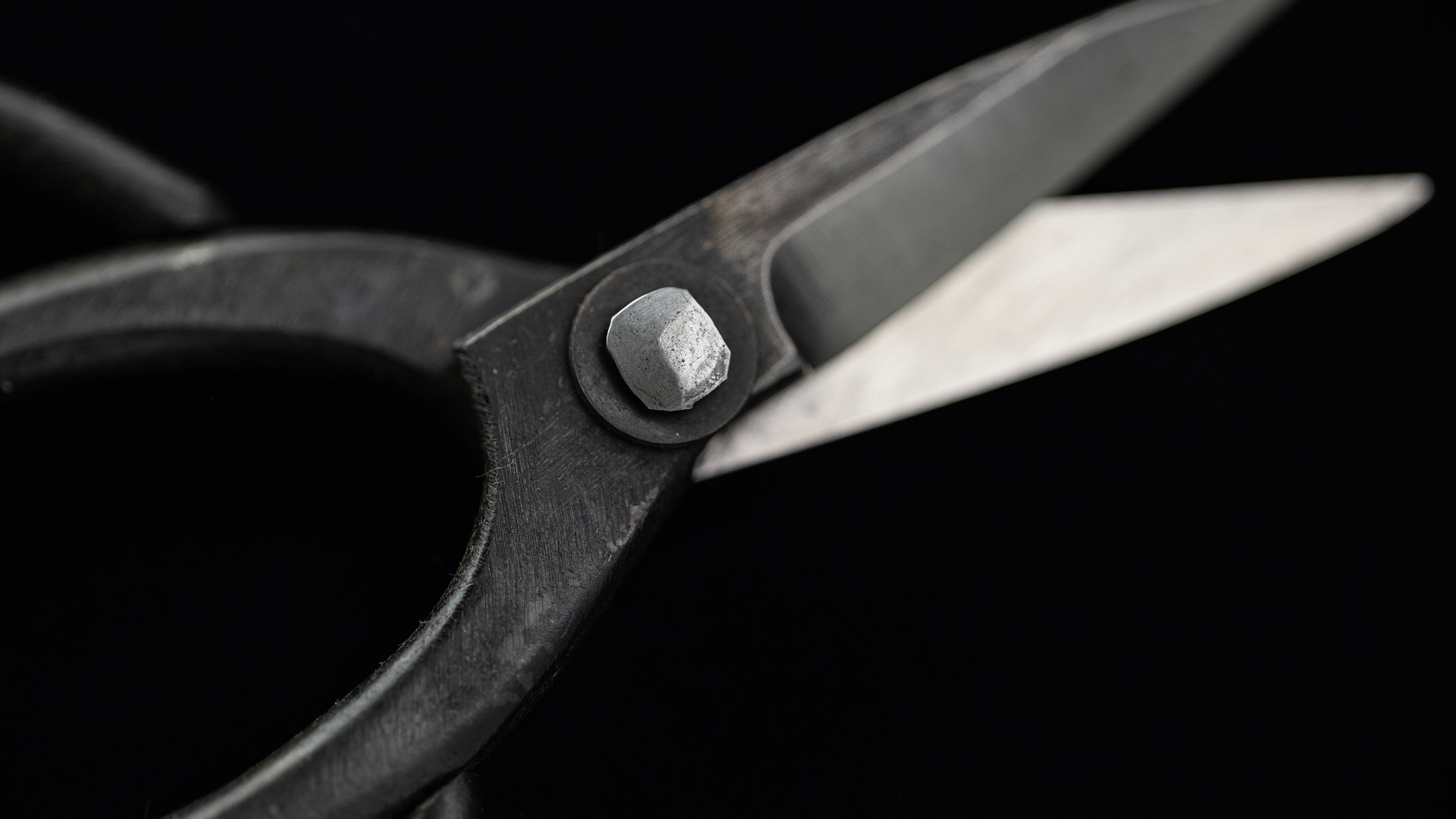 Bonsai basami Japanese Hand Made Bonsai Scissors By Kisaku - Small