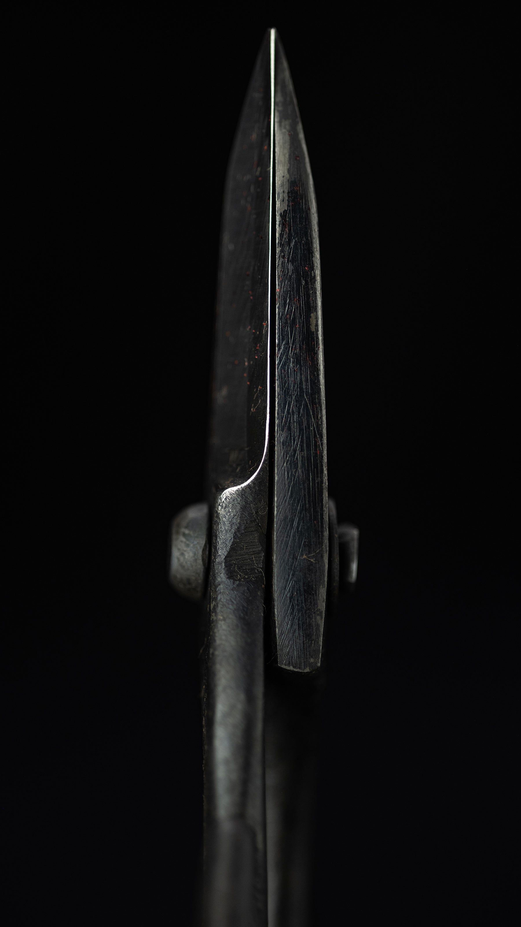 Bonsai basami Japanese Hand Made Bonsai Scissors By Kisaku - Small