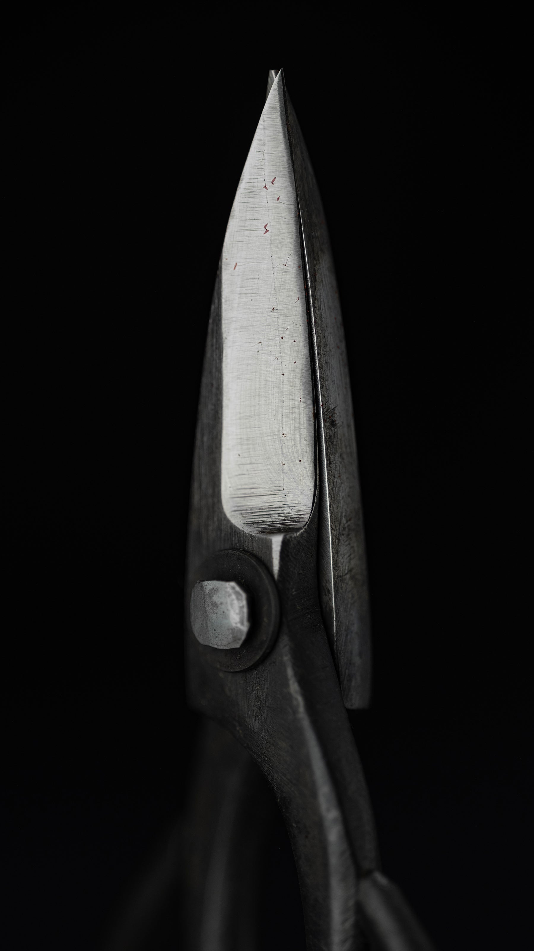 Bonsai basami Japanese Hand Made Bonsai Scissors By Kisaku - Small