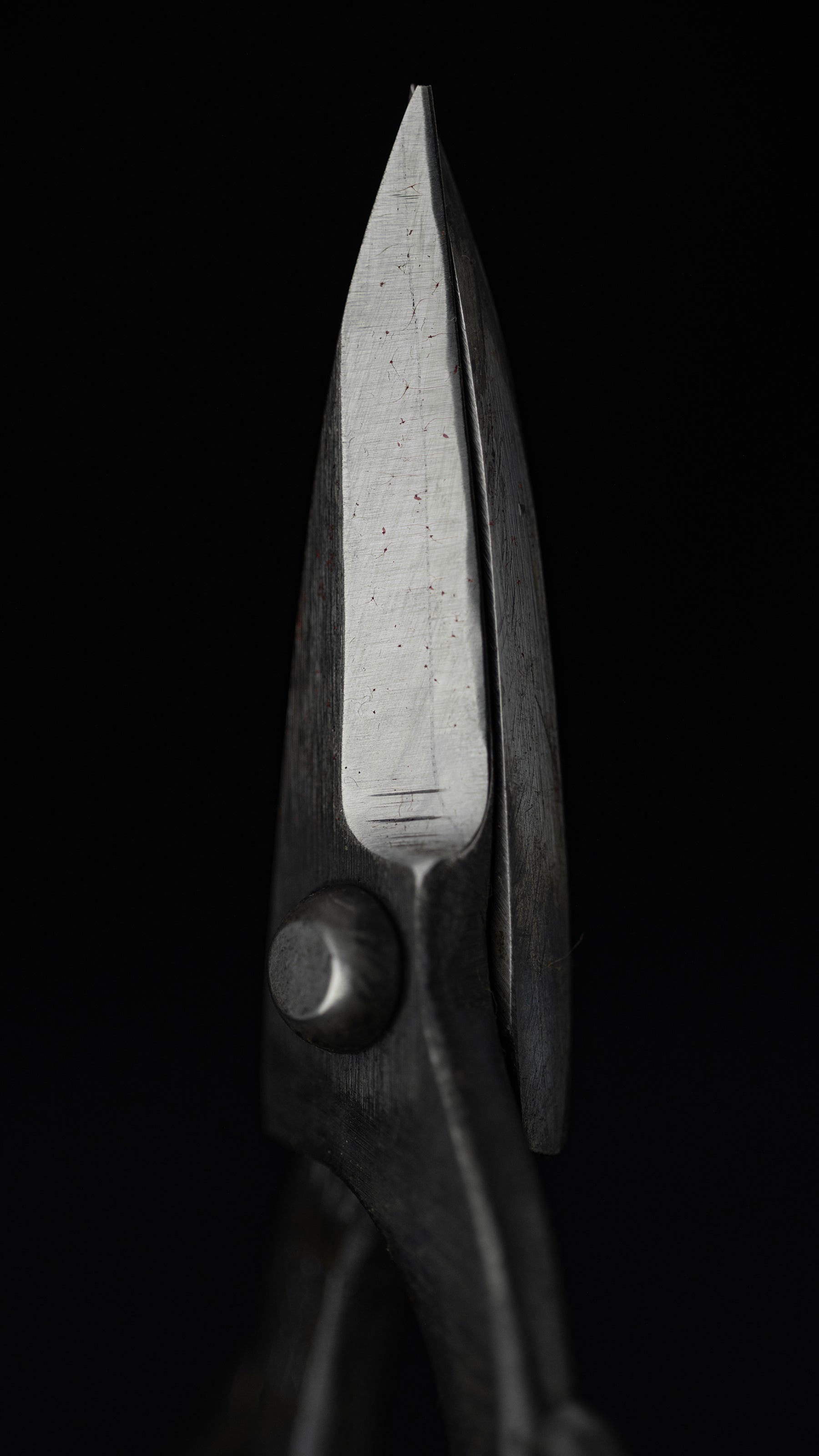 Bonsai basami Japanese Hand Made Bonsai Scissors By Kisaku - Small