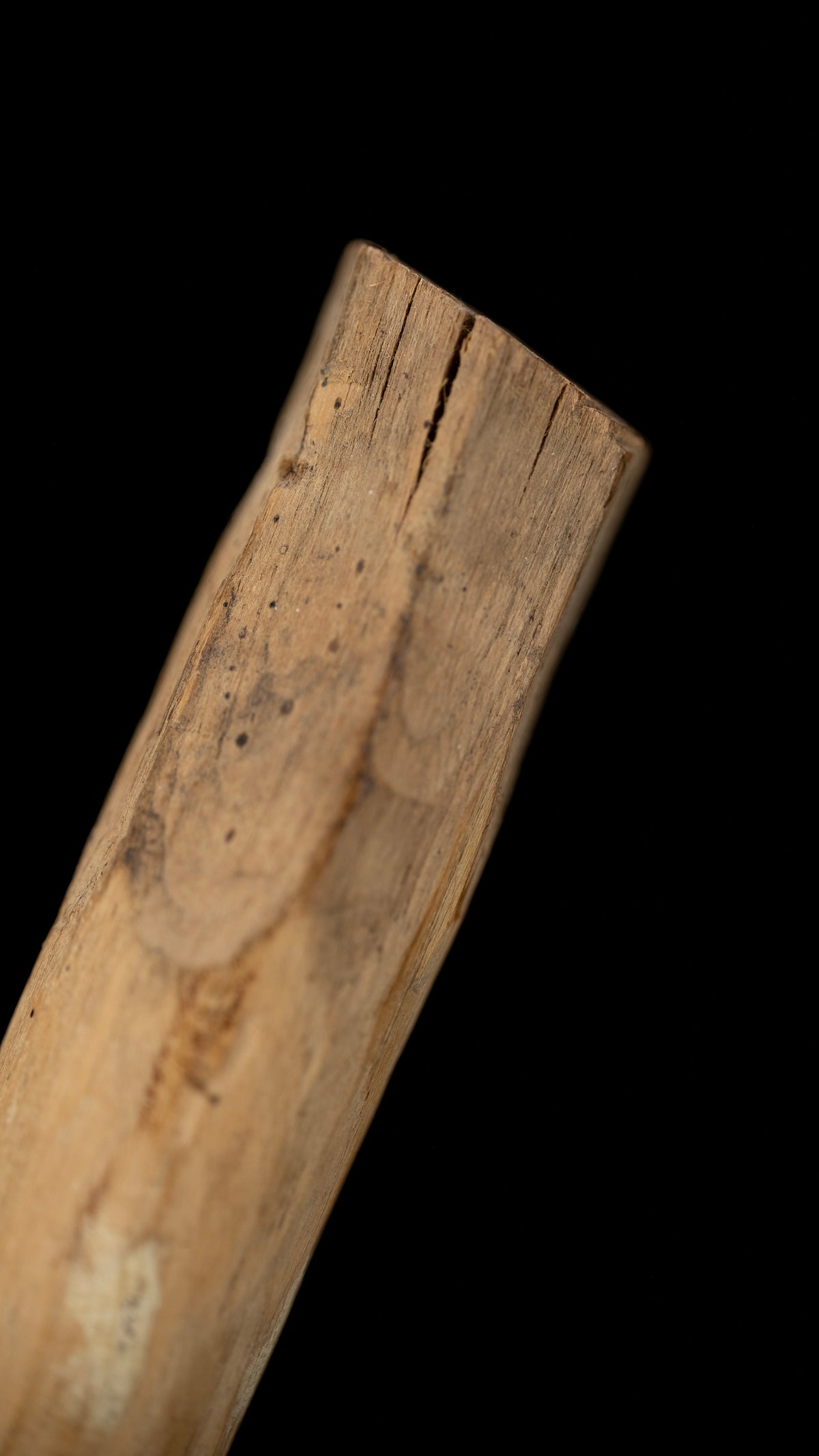 Japanese Chouna/Adze Handle ②