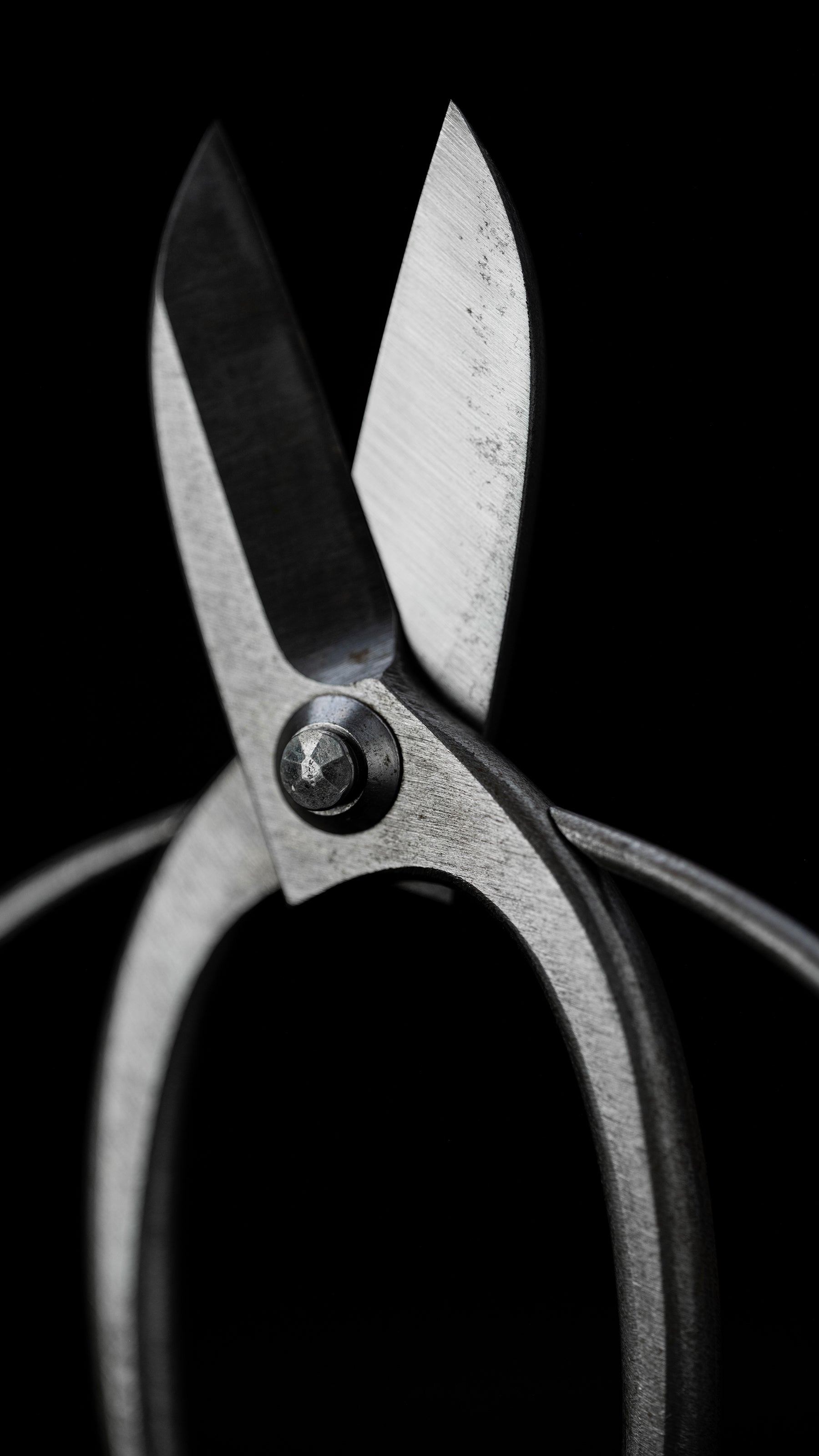 Koryu Hanabasami Japanese Hand Made Bonsai Scissors By Sakai Noboru