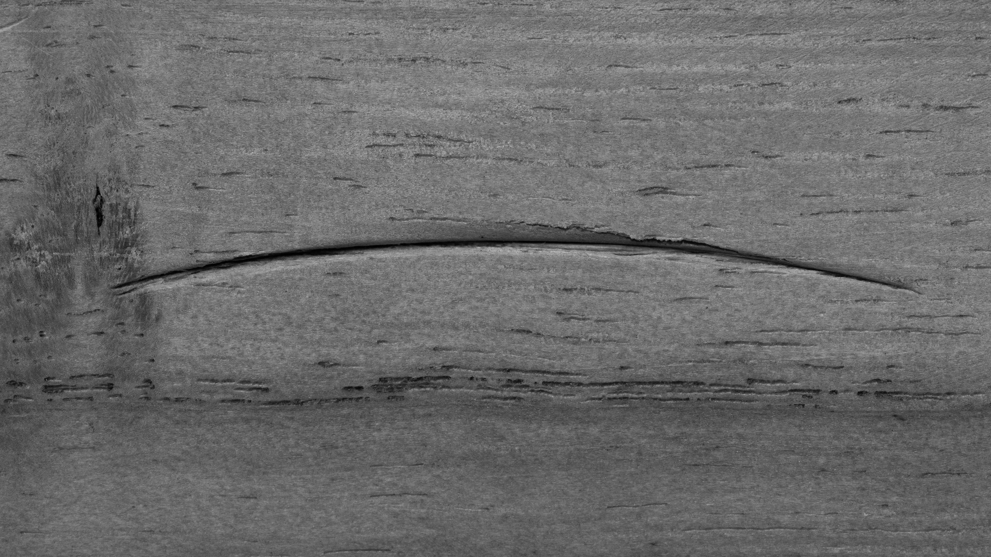 Uchimaru nomi Japanese Shallow U-Gouge Chisel By Koun - 36mm