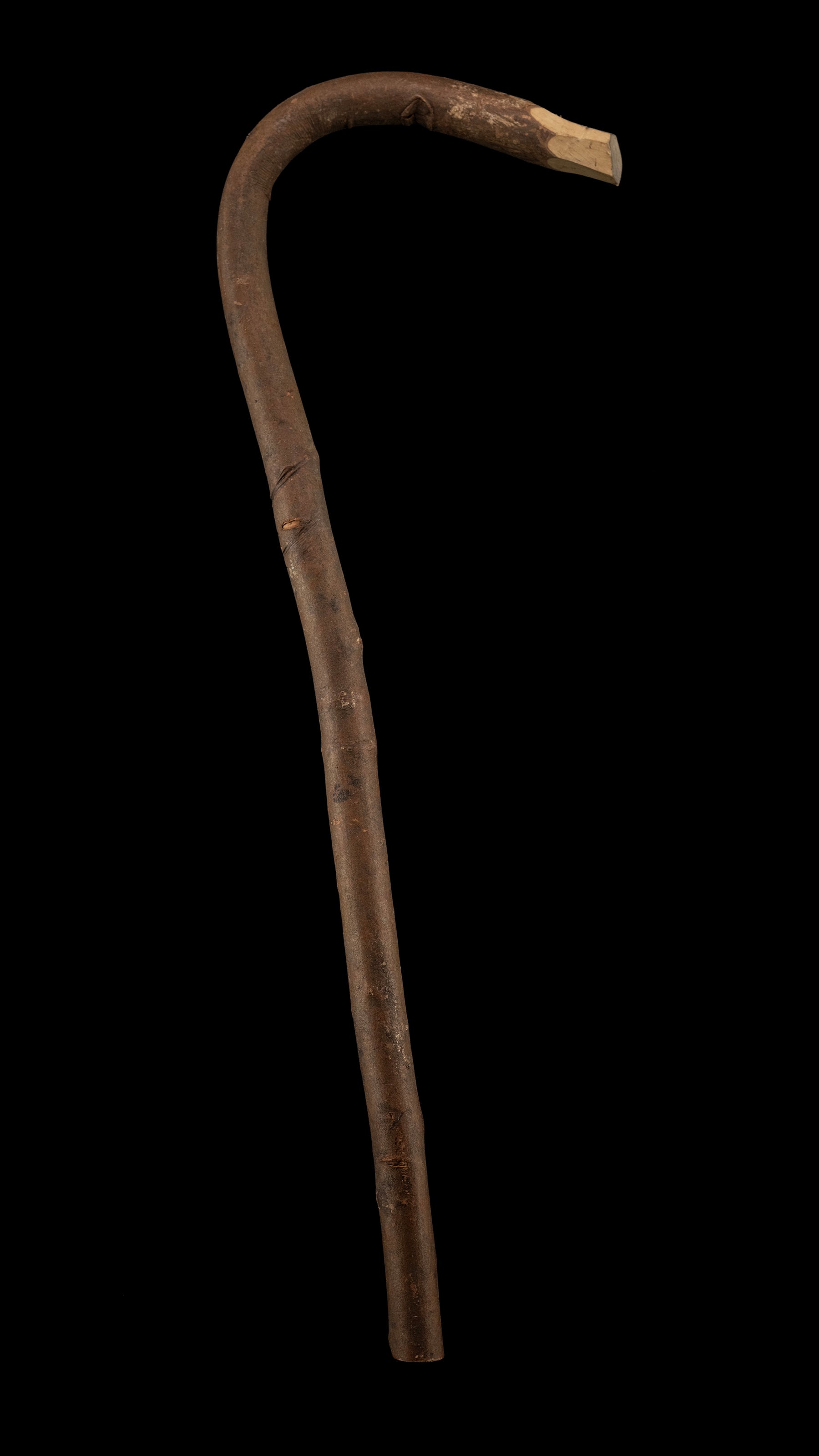 Japanese Chouna/Adze Handle ②