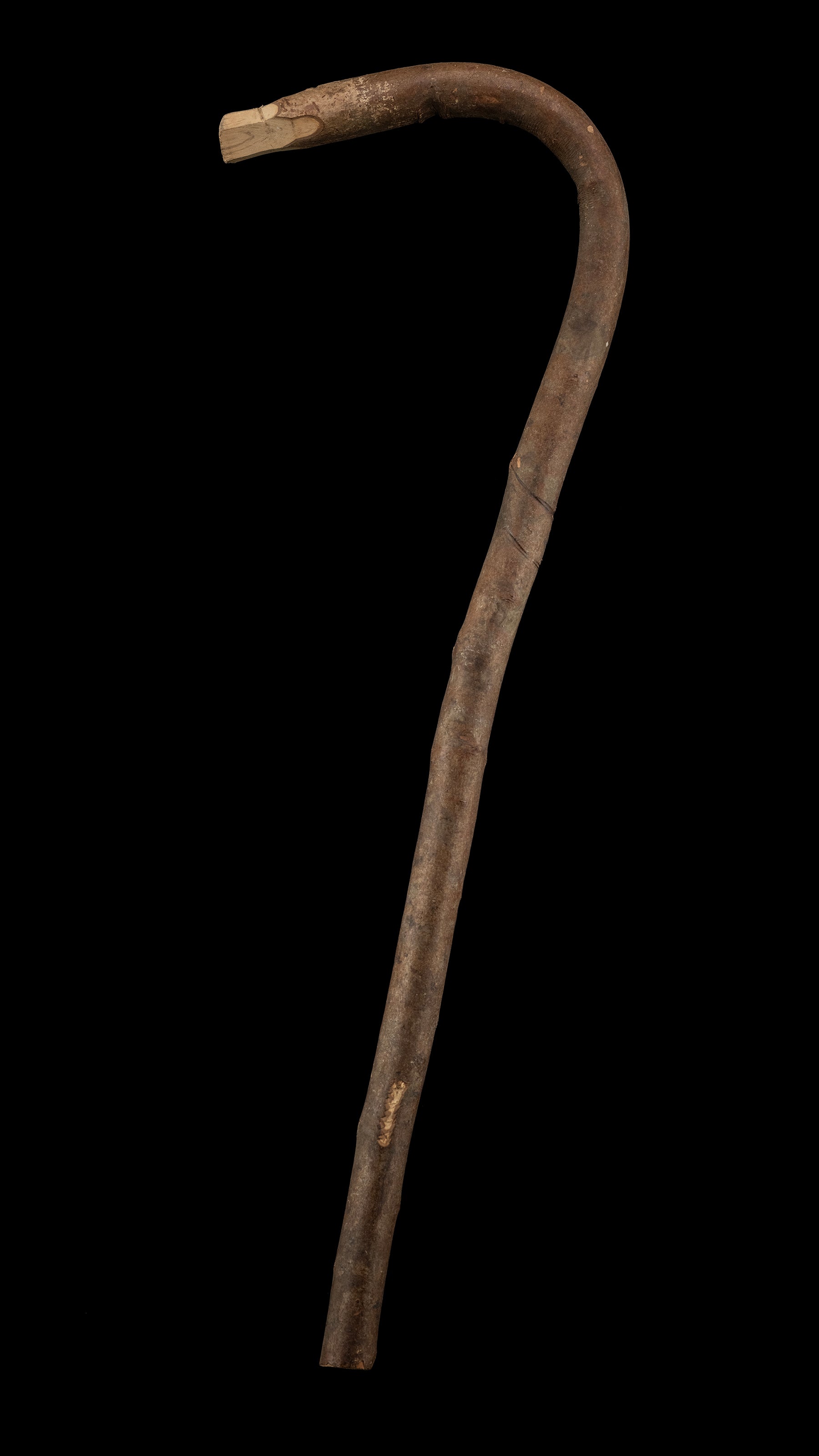 Japanese Chouna/Adze Handle ②