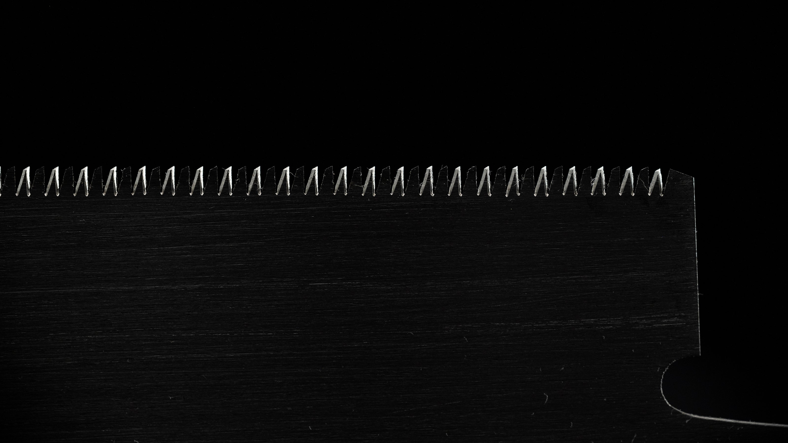 Ryoba Noko Japanese Both Sided Hand Saw by Oba Shoichiro Ⅰ - 240mm