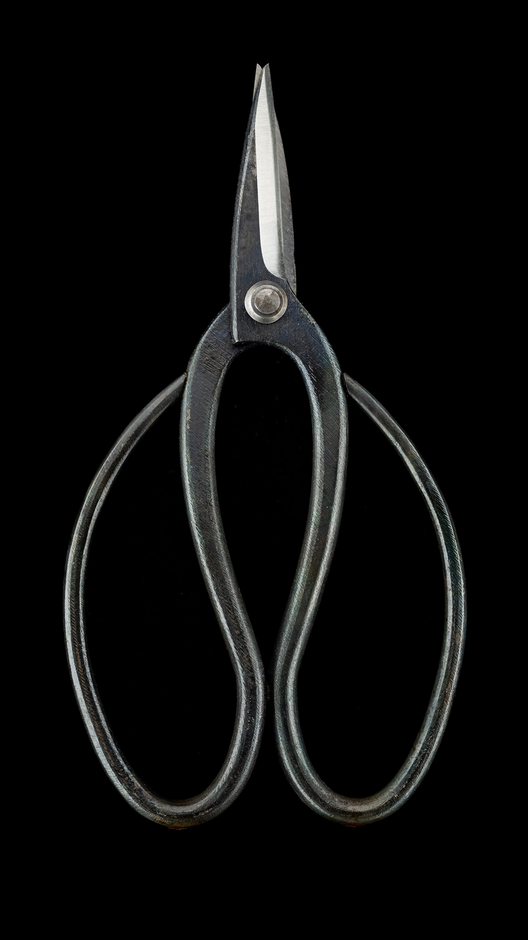 Bonsai-basami Japanese Hand Made Bonsai Scissors By Sakai Noboru - 185mm