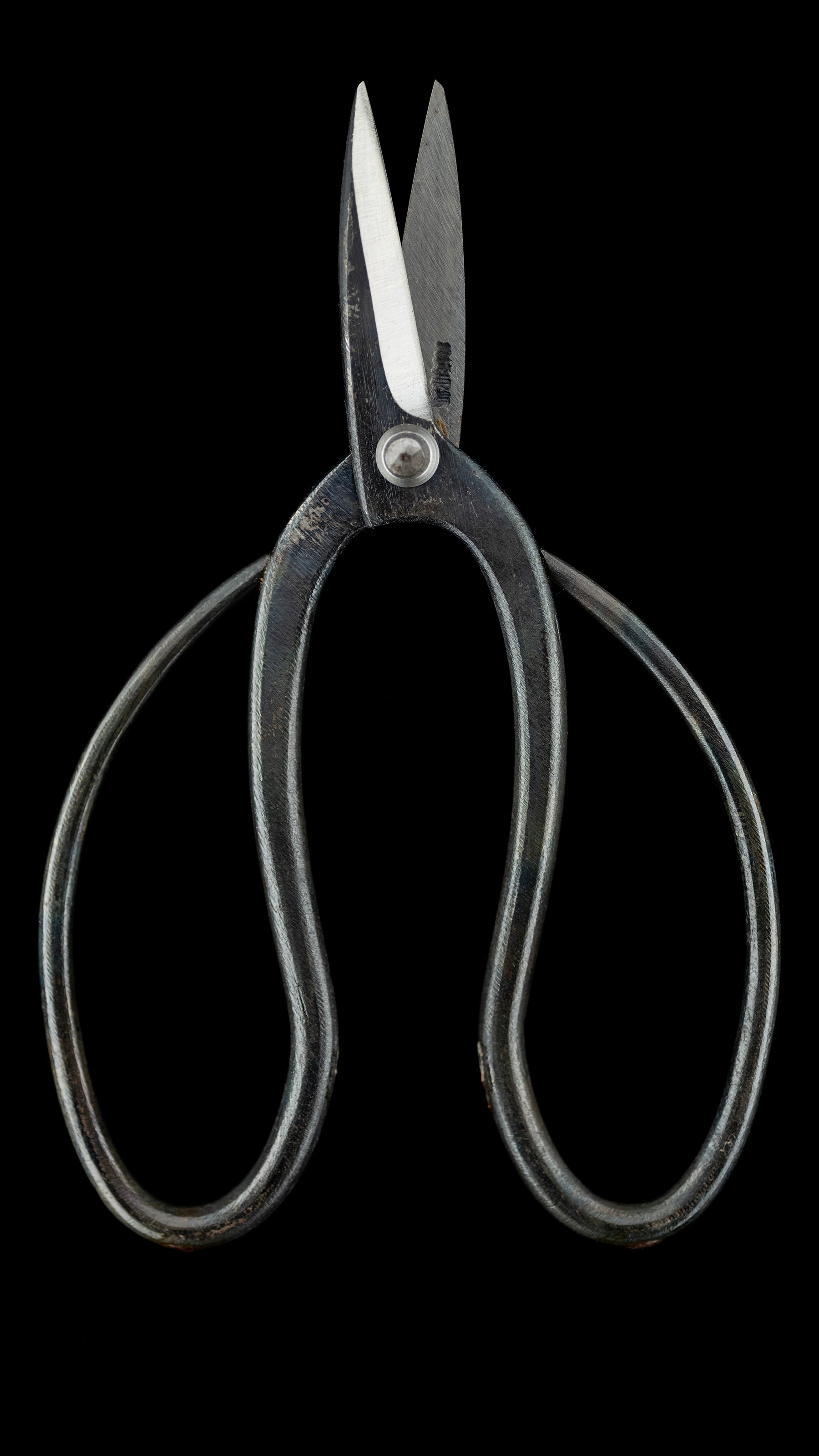 Bonsai-basami Japanese Hand Made Bonsai Scissors By Sakai Noboru - 185mm