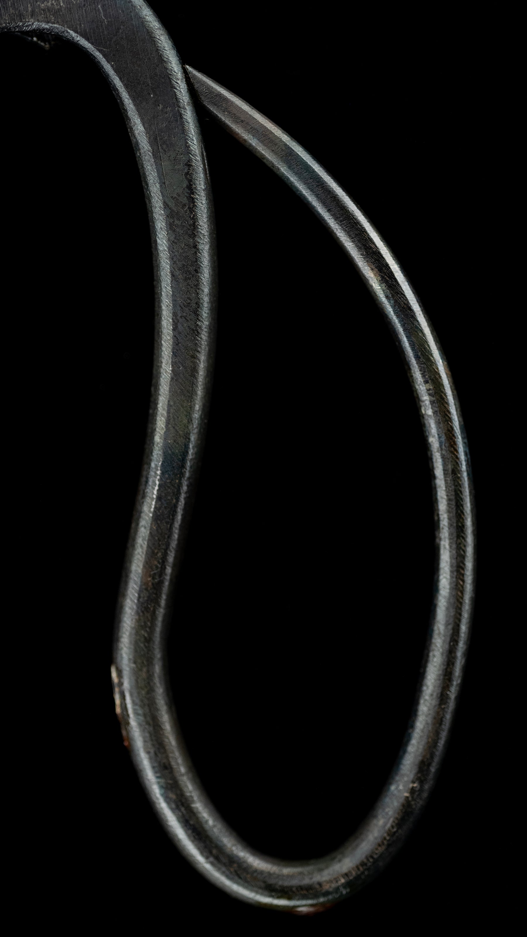 Bonsai-basami Japanese Hand Made Bonsai Scissors By Sakai Noboru - 185mm