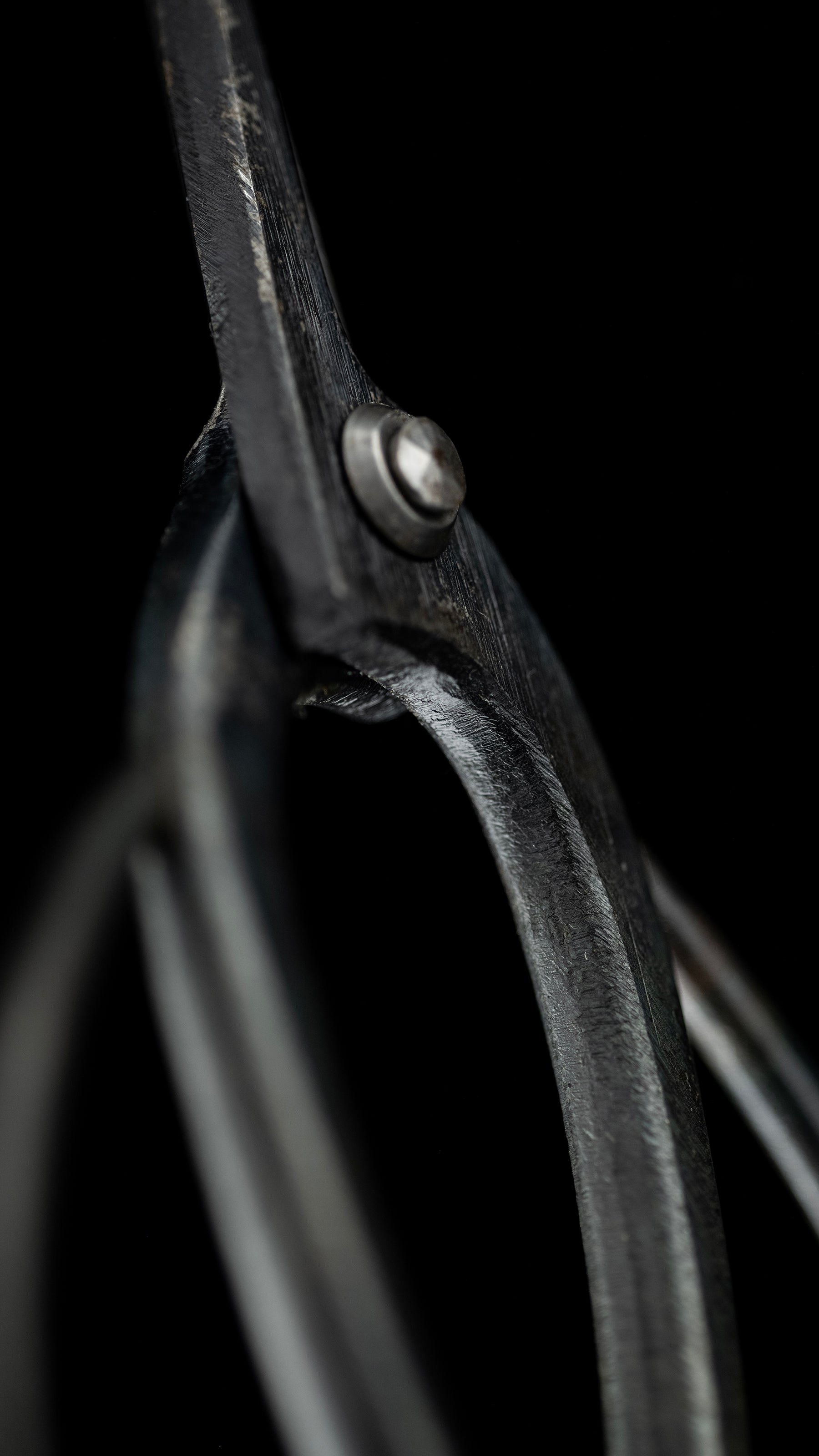 Bonsai-basami Japanese Hand Made Bonsai Scissors By Sakai Noboru - 185mm