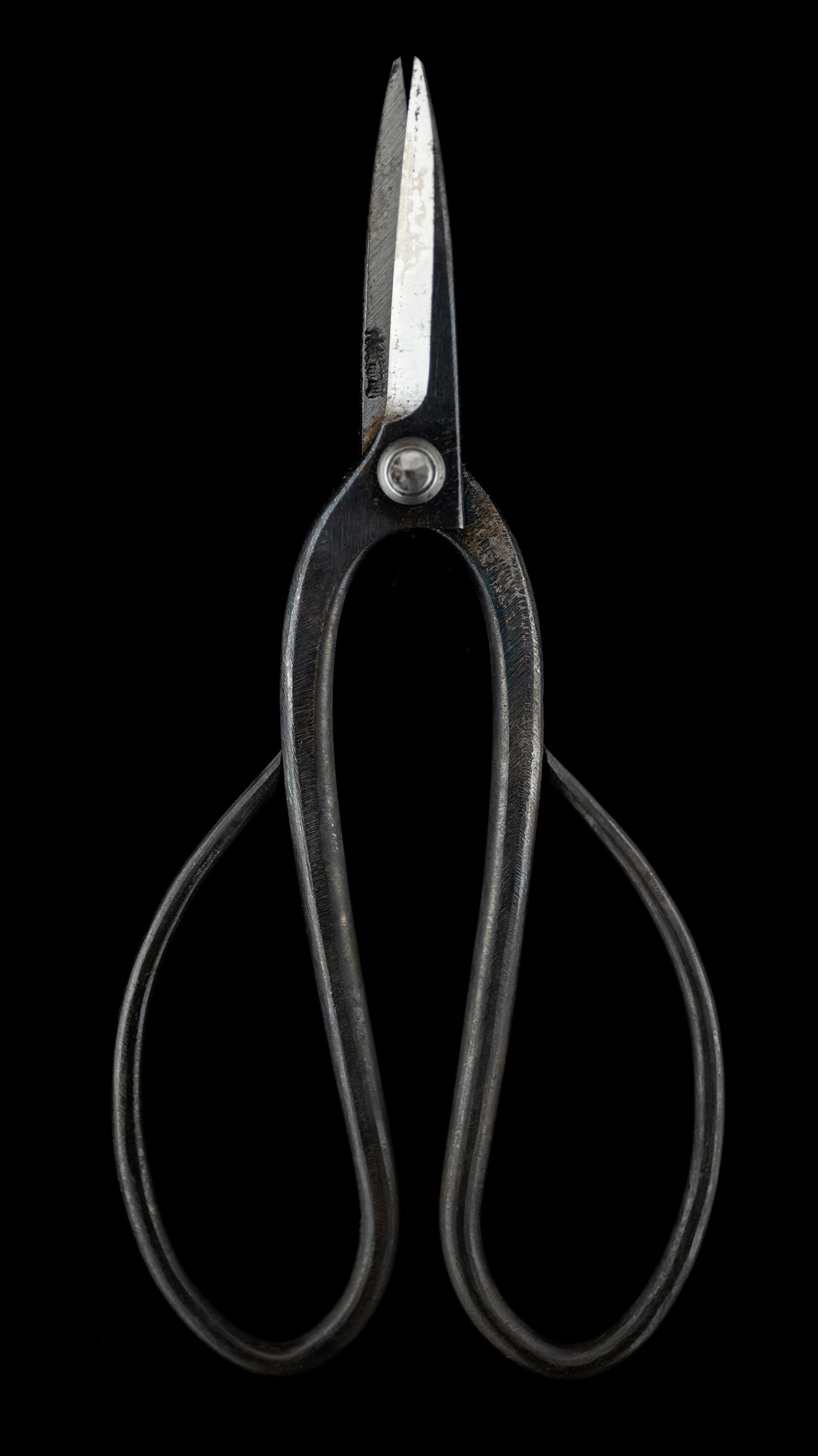 Ueki-basami Japanese Hand Made Bonsai Scissors By Sakai Noboru - Left Hand ②