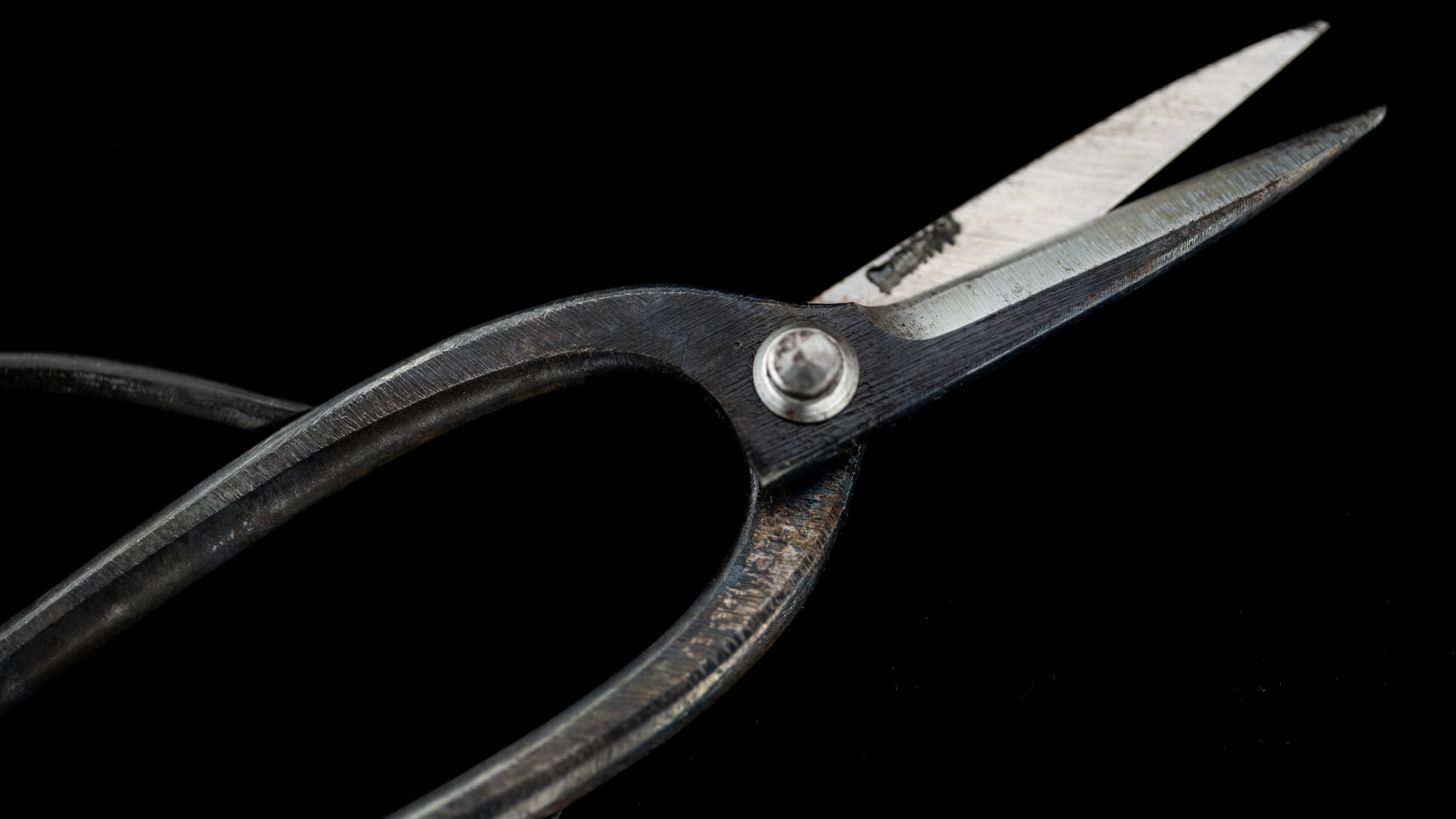 Ueki-basami Japanese Hand Made Bonsai Scissors By Sakai Noboru - Left Hand ②