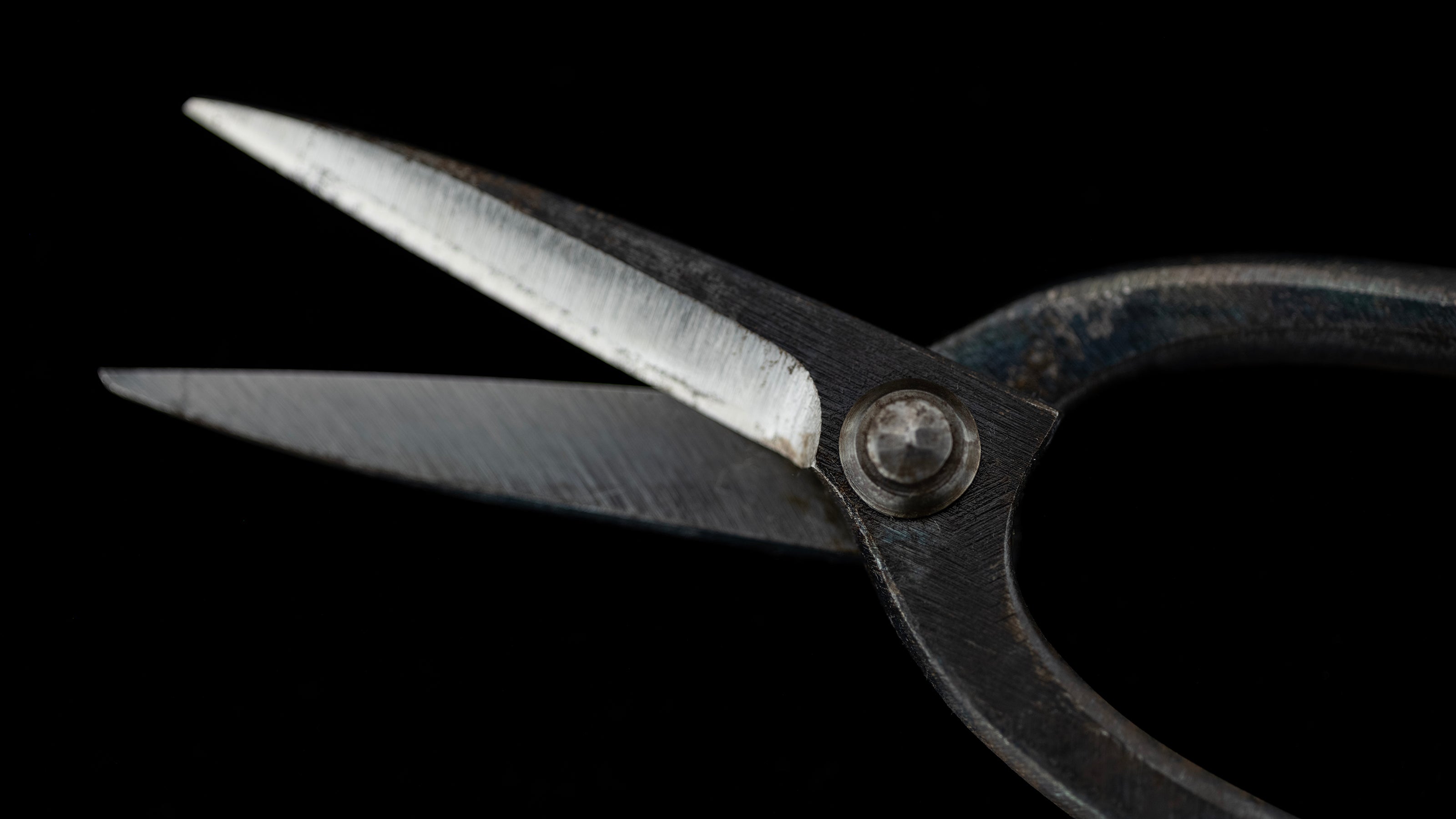 Ueki-basami Japanese Hand Made Bonsai Scissors By Sakai Noboru - Left Hand ②