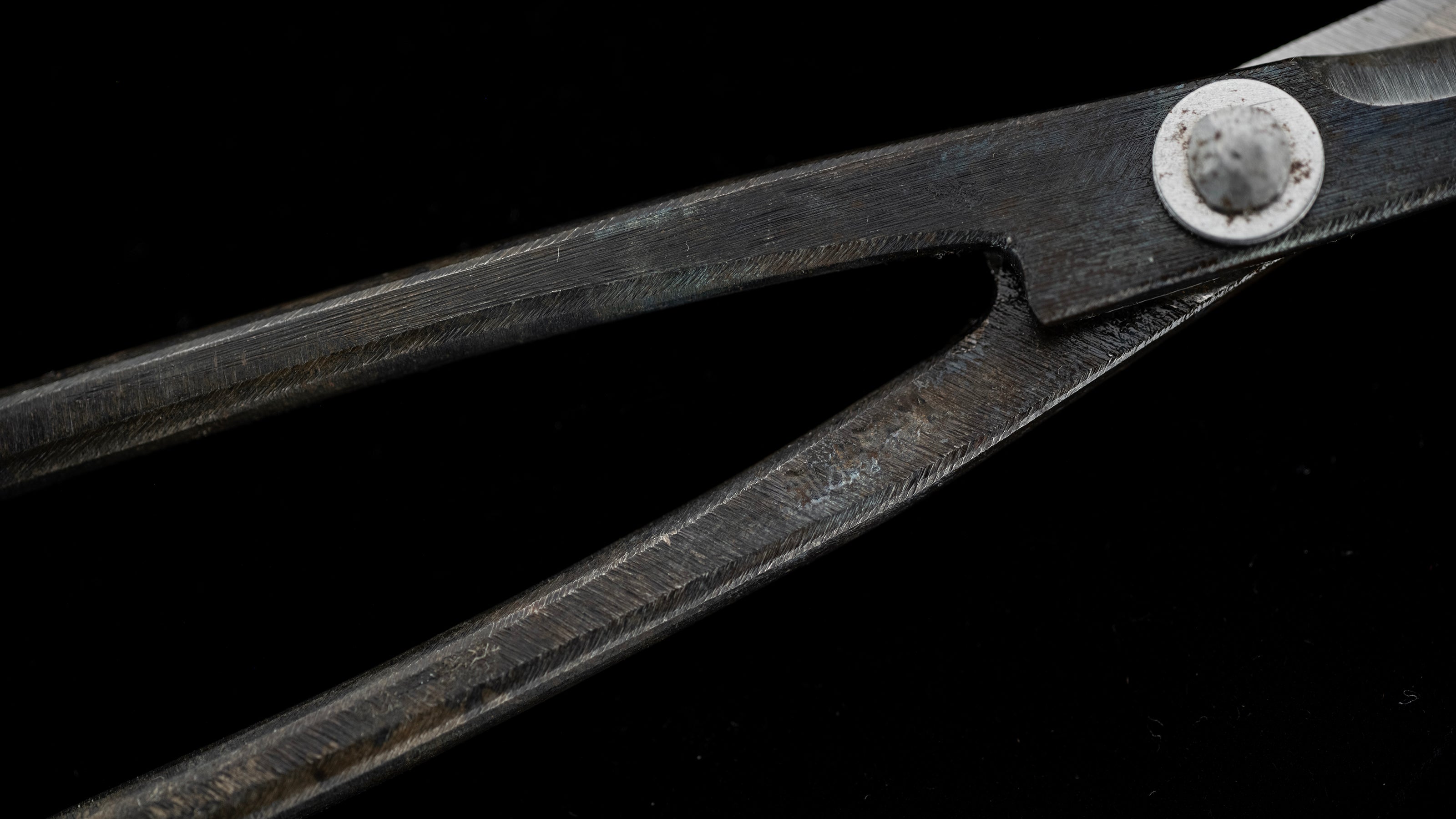 Koedakiri-basami Japanese Hand Made Bonsai Scissors By Sakai Noboru - Left Hand