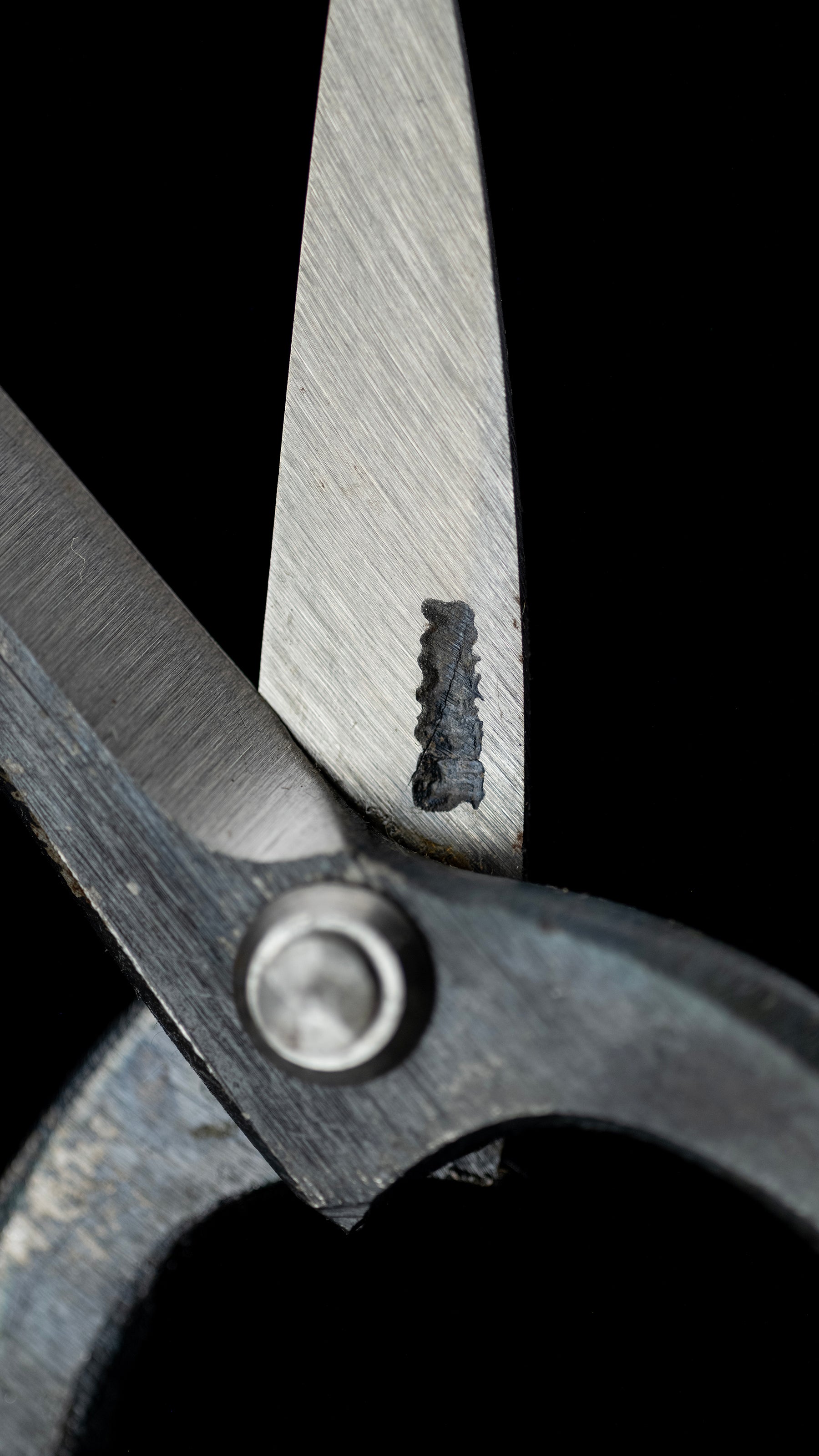 Bonsai-basami Japanese Hand Made Bonsai Scissors By Sakai Noboru - 185mm