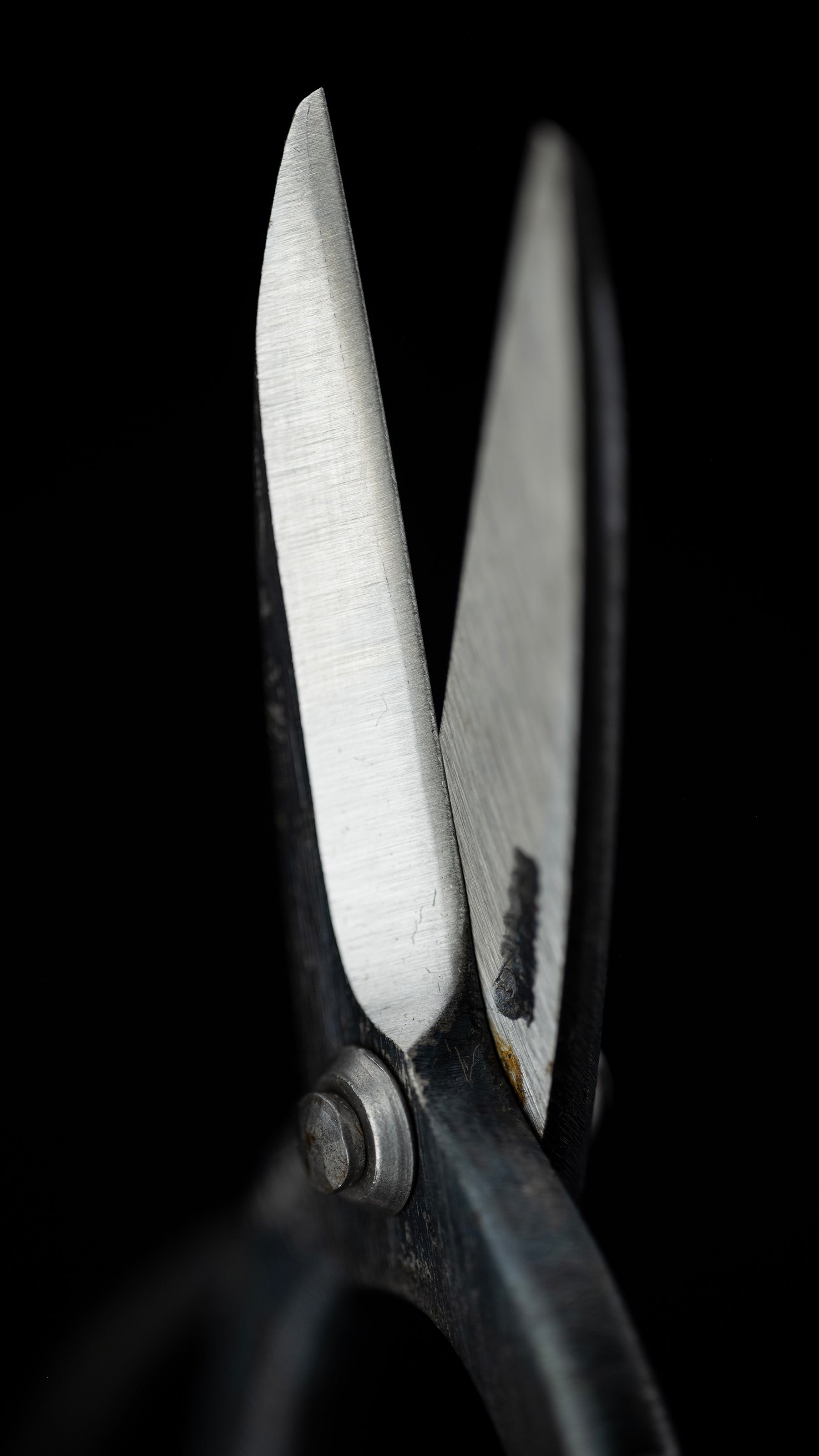 Bonsai-basami Japanese Hand Made Bonsai Scissors By Sakai Noboru - 185mm