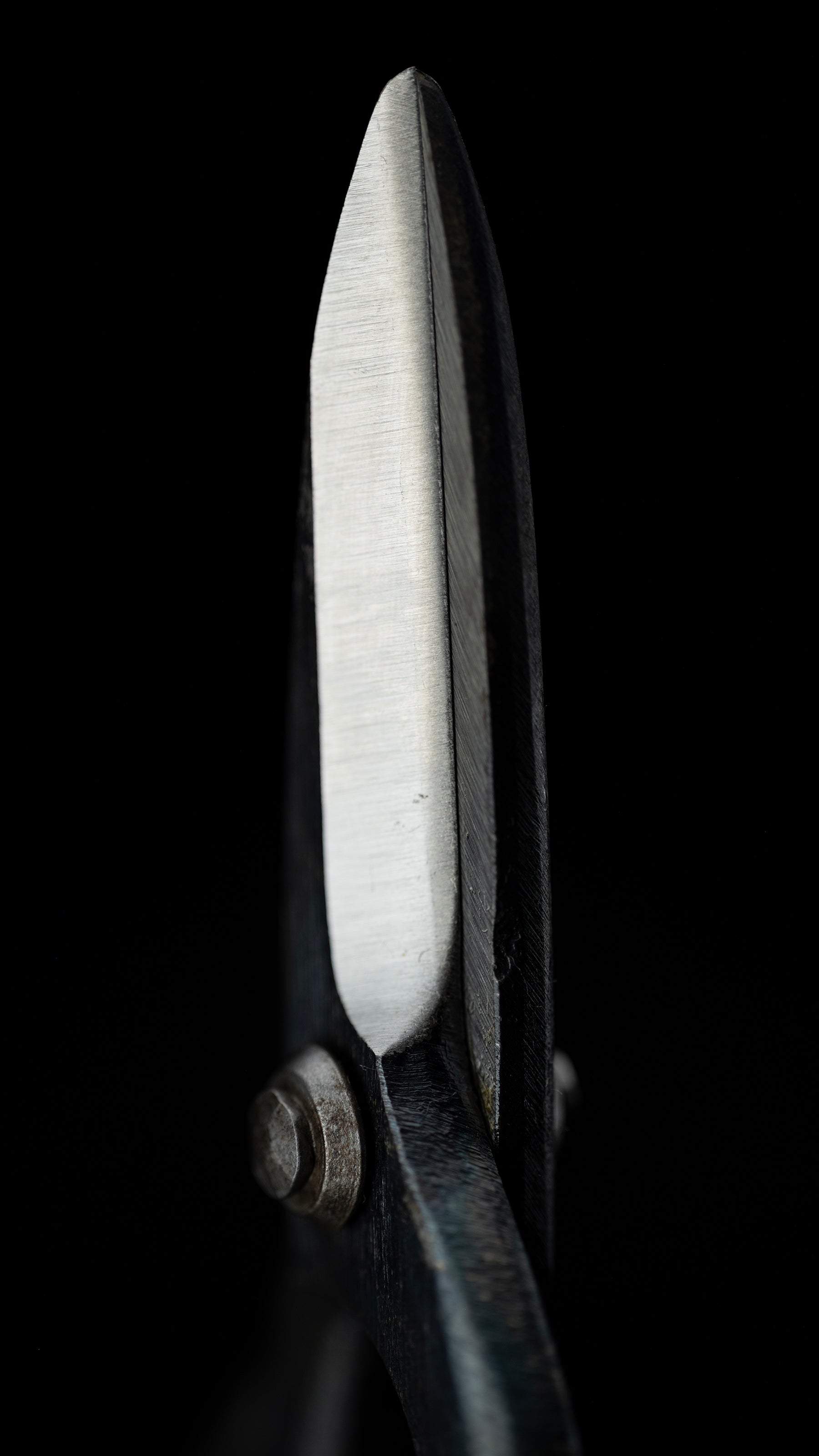 Bonsai-basami Japanese Hand Made Bonsai Scissors By Sakai Noboru - 185mm