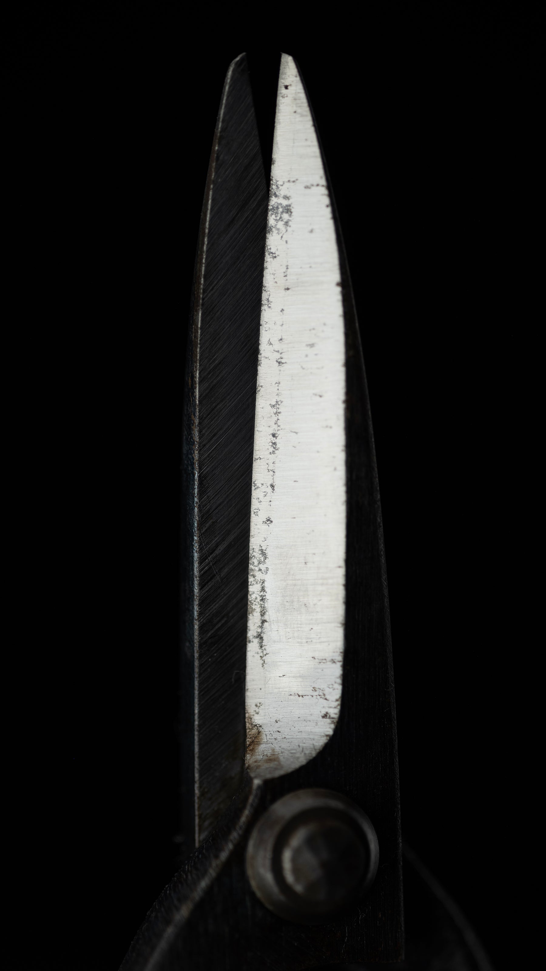 Ueki-basami Japanese Hand Made Bonsai Scissors By Sakai Noboru - Left Hand ②
