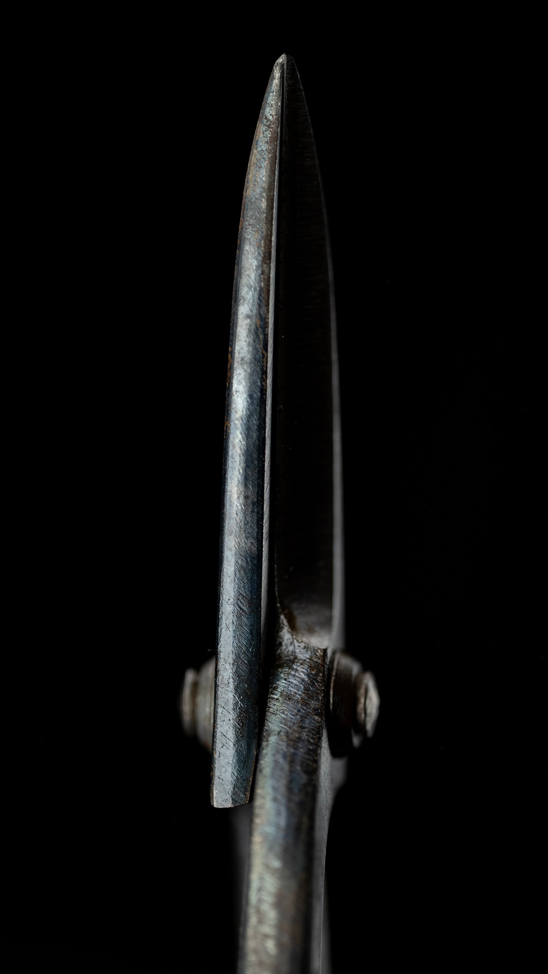 Ueki-basami Japanese Hand Made Bonsai Scissors By Sakai Noboru - Left Hand ②