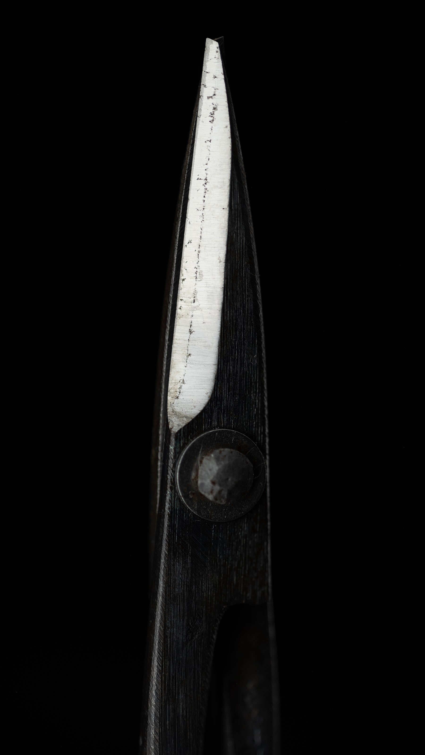 Koedakiri-basami Japanese Hand Made Bonsai Scissors By Sakai Noboru - Left Hand