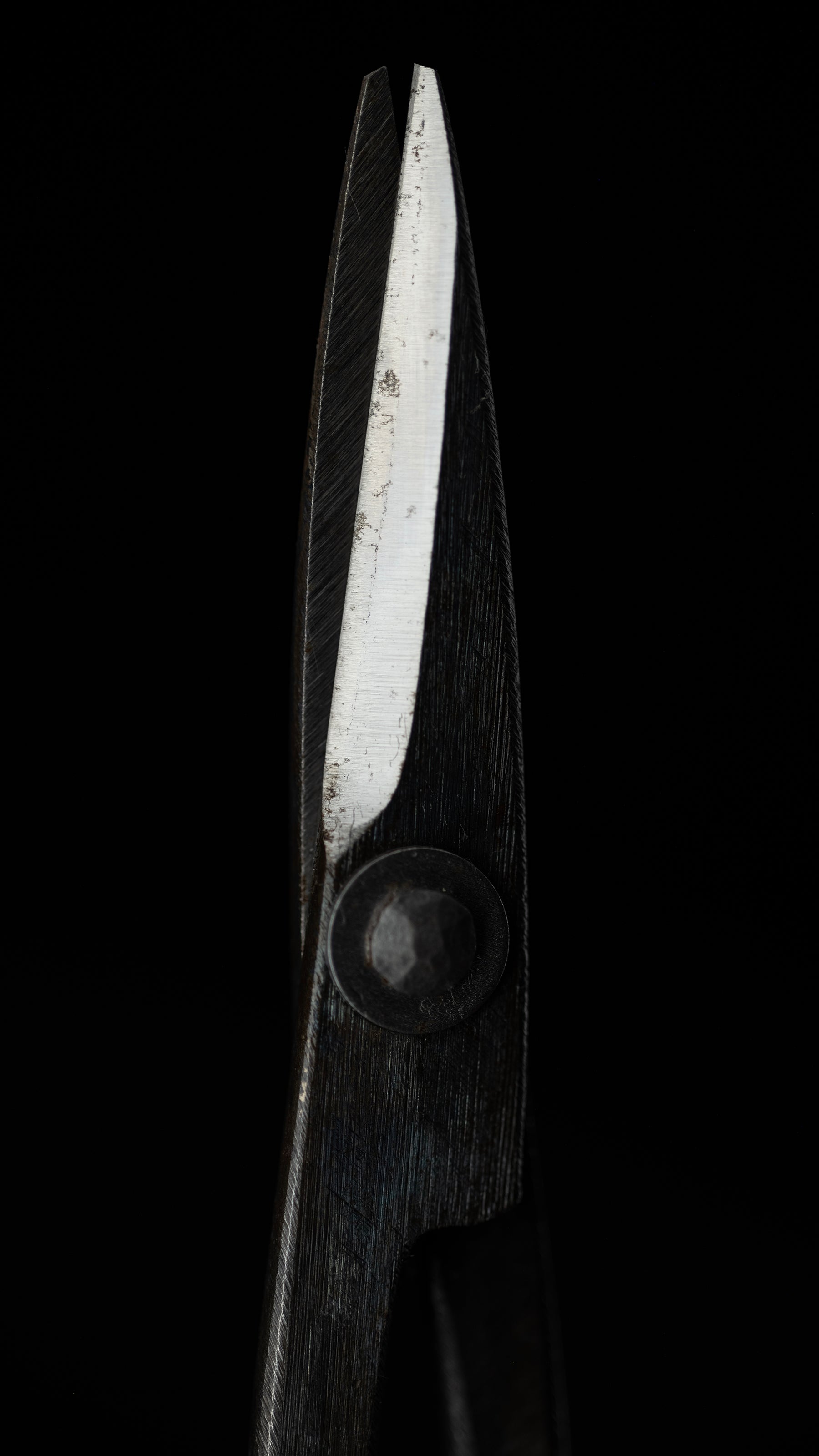 Koedakiri-basami Japanese Hand Made Bonsai Scissors By Sakai Noboru - Left Hand