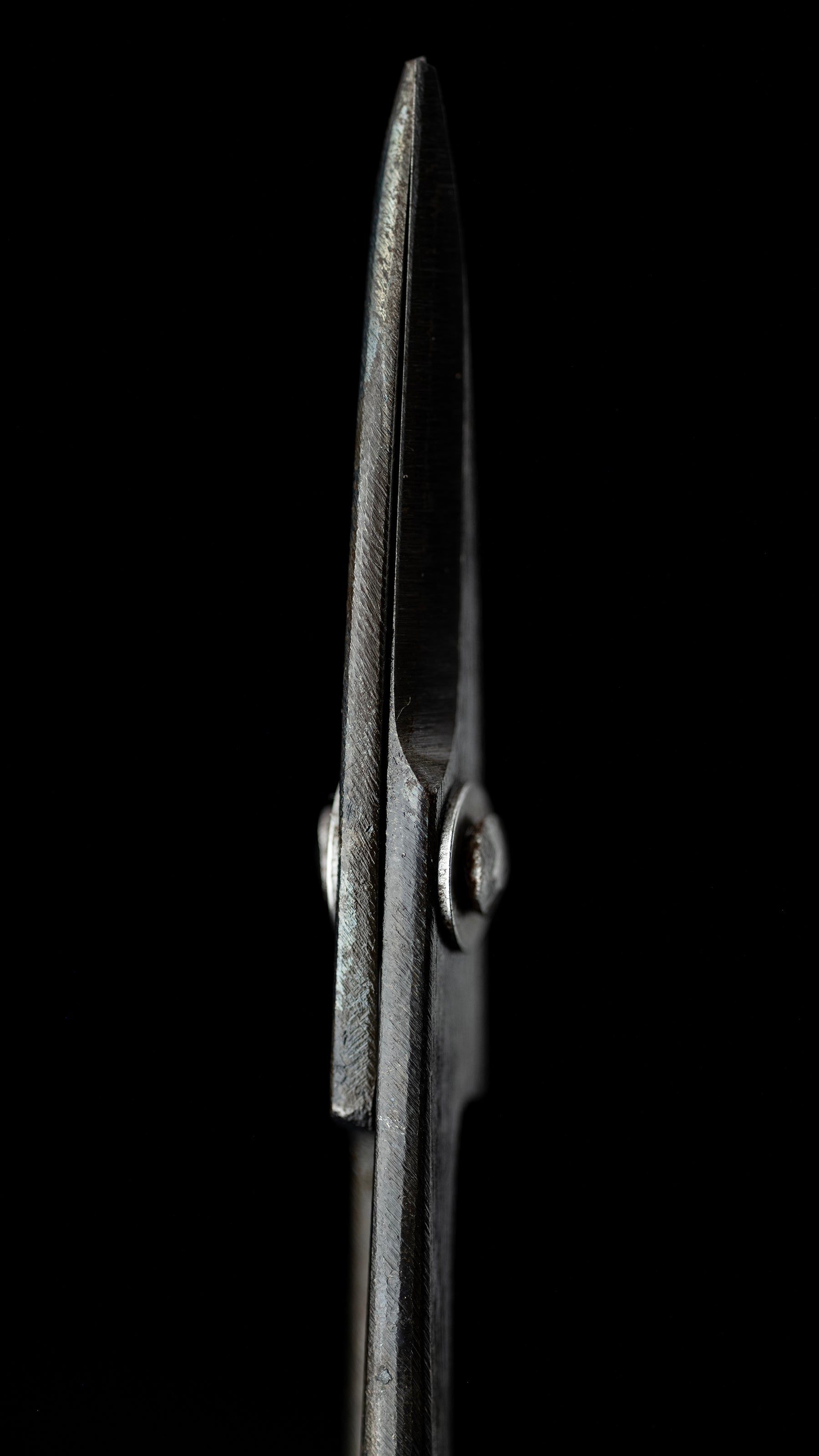 Koedakiri-basami Japanese Hand Made Bonsai Scissors By Sakai Noboru - Left Hand